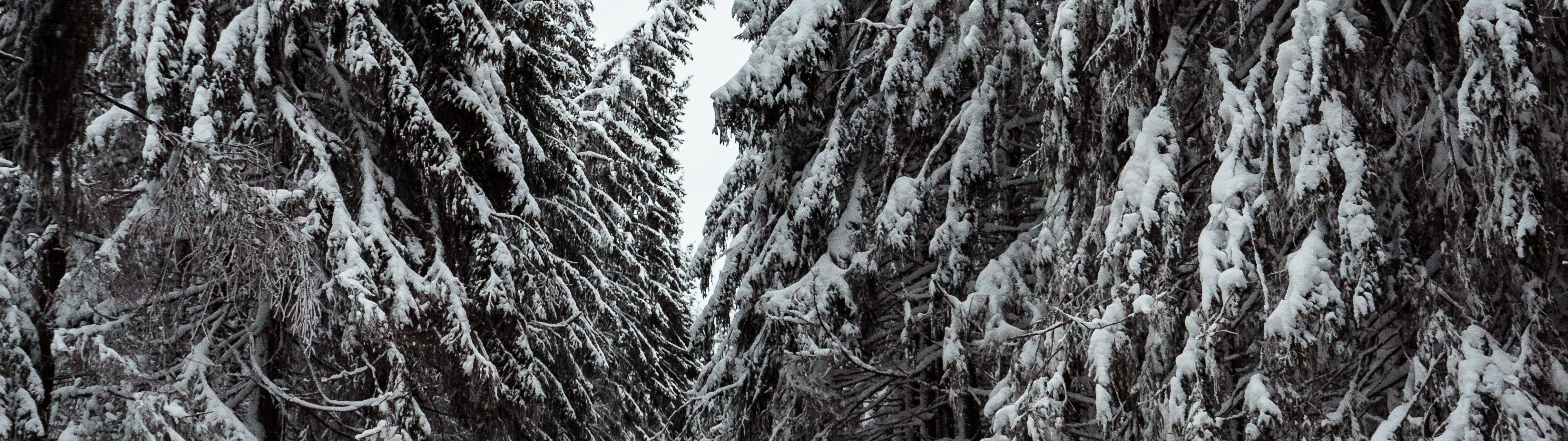 3840x1080 Download 3840x1080 Winter, Forest, Road, Snow, Frost, Trees Wallpaper