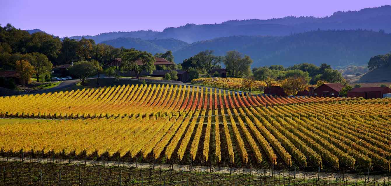 1340x640 Napa Valley Wallpaper