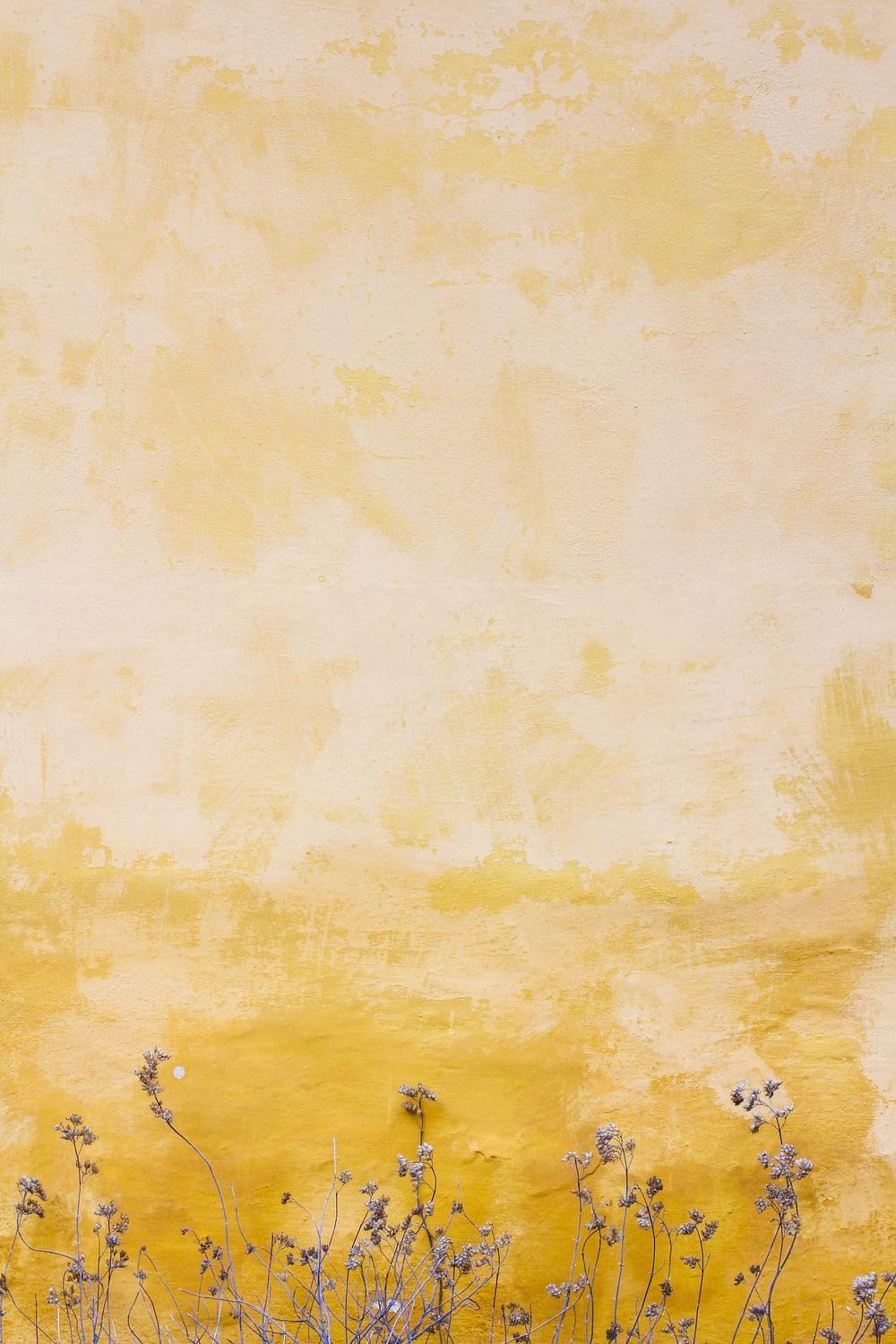 1000x1500 Yellow Wallpaper: Free HD Download [HQ]