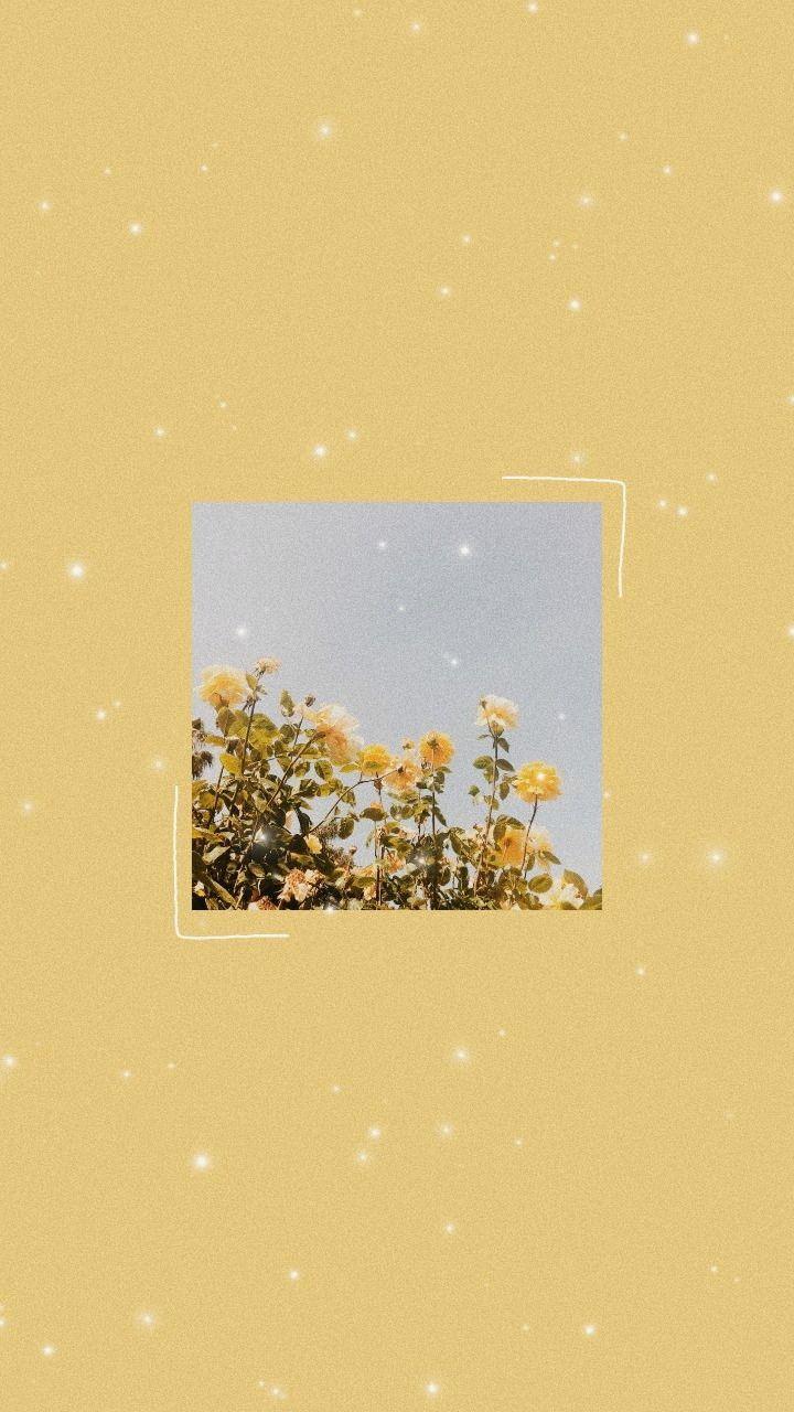 720x1280 pinwheel. Painting wallpaper, iPhone wallpaper tumblr aesthetic, Cute tumblr wallpaper