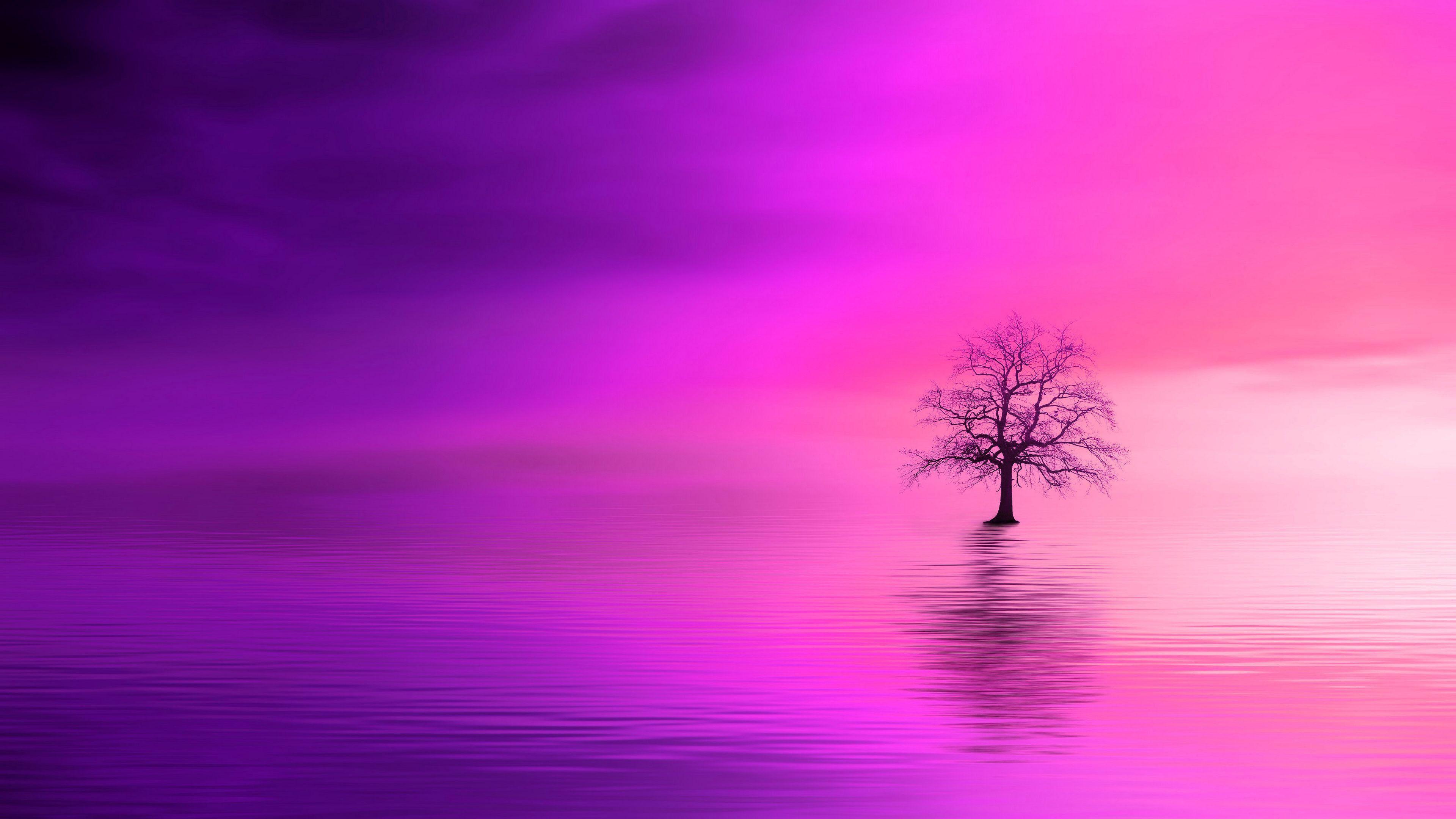 Pink Tree 4k Hd Nature 4k Wallpapers Images Backgroun - vrogue.co