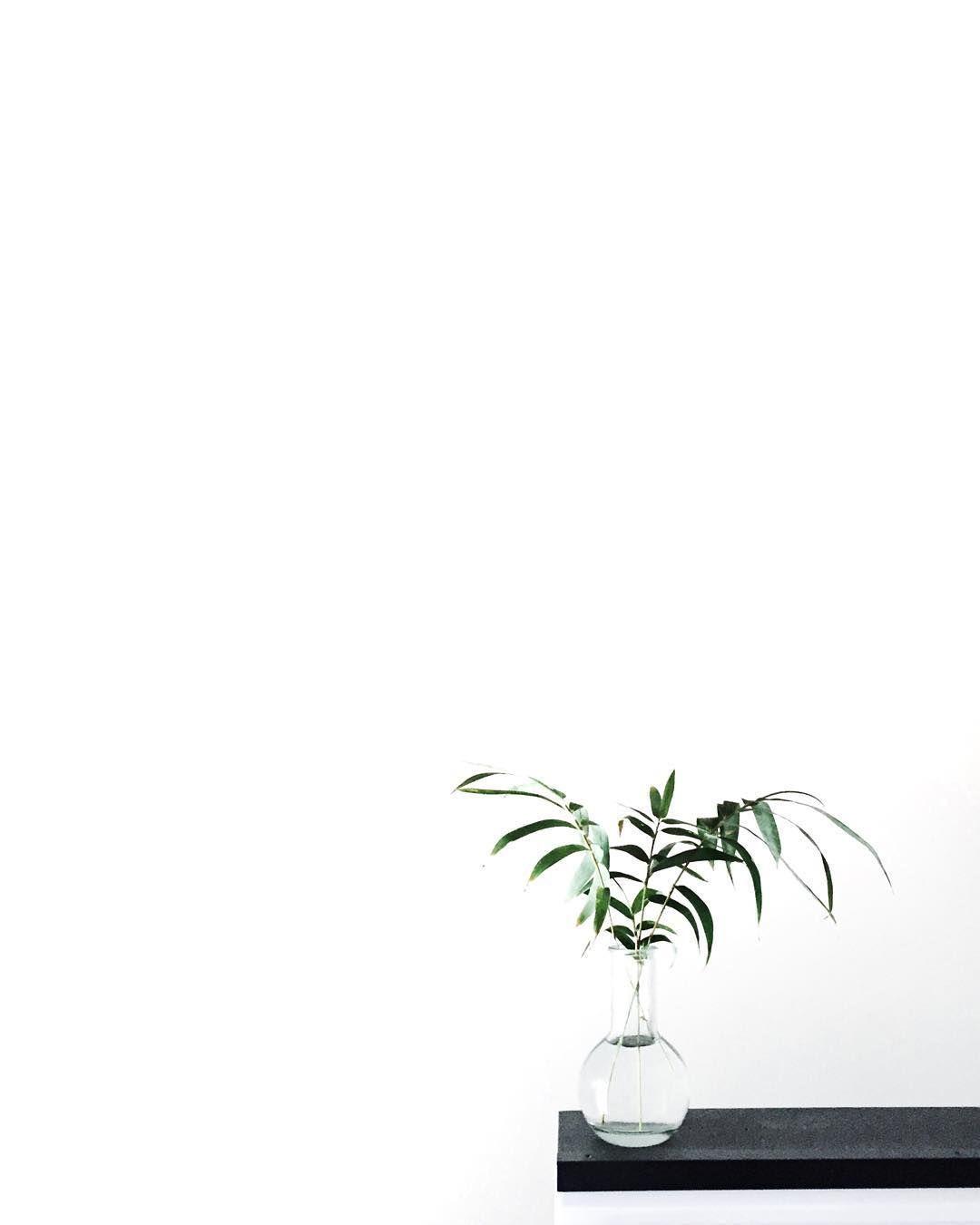 1080x1350 L E A B O. Plant Aesthetic, Plants, Plant Wallpaper