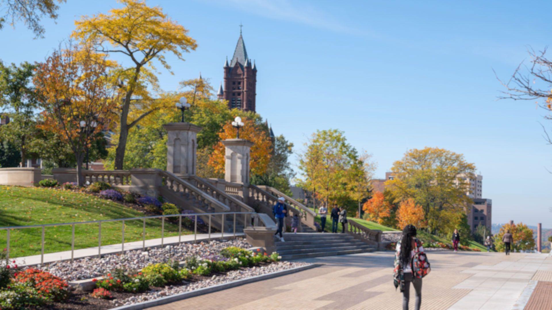 Artistic Syracuse University Overview Background Art Artistic Syracuse University Overview Background Art