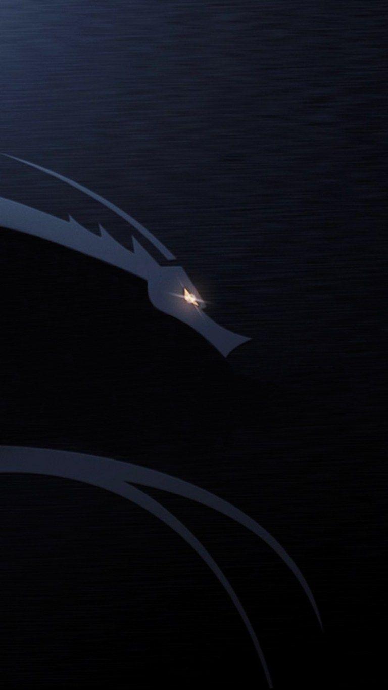 768x1365 Cyber Dragon Dark Mobile Wallpaper for Android Phones