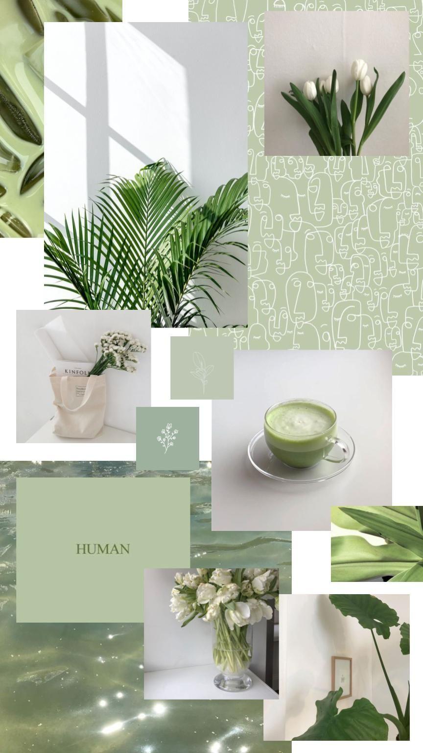 Adorable Animal Wallpaper With Matcha Green And Yellow Gradient Page Border  Background Word Template And Google Docs For Free Download