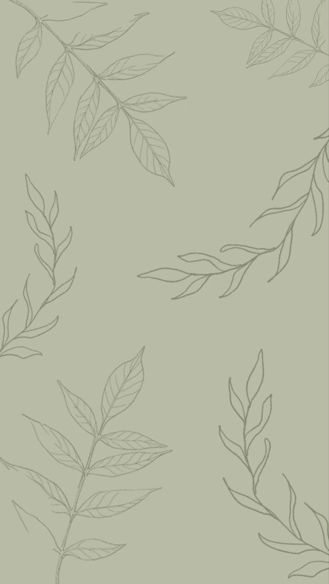676x1200 ios 14 wallpaper sage green leaves plant