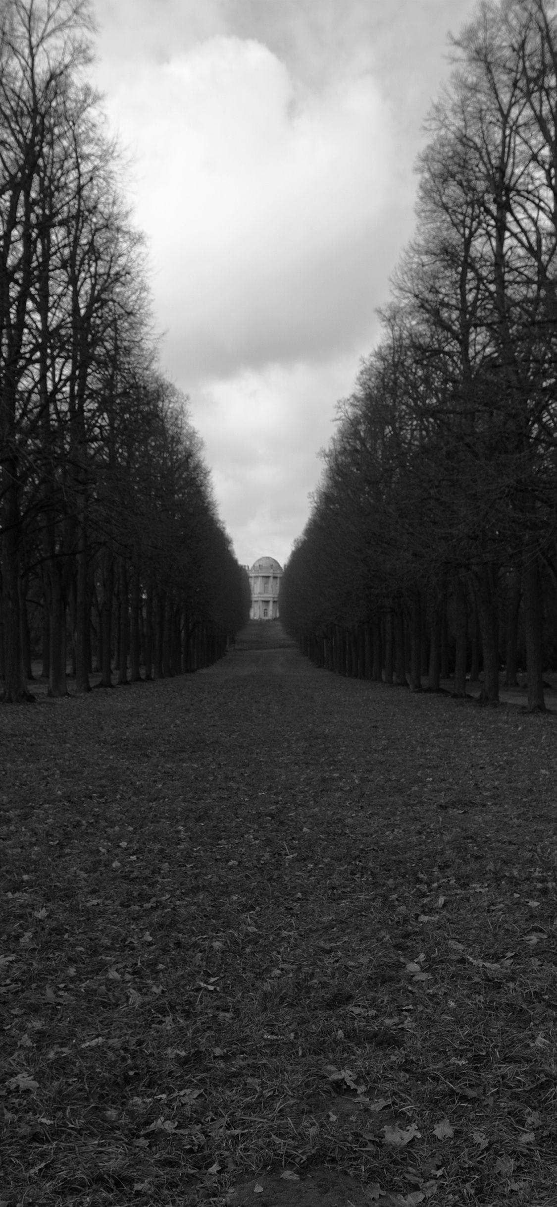 1125x2436 iPhone X wallpaper. dark bw road germany