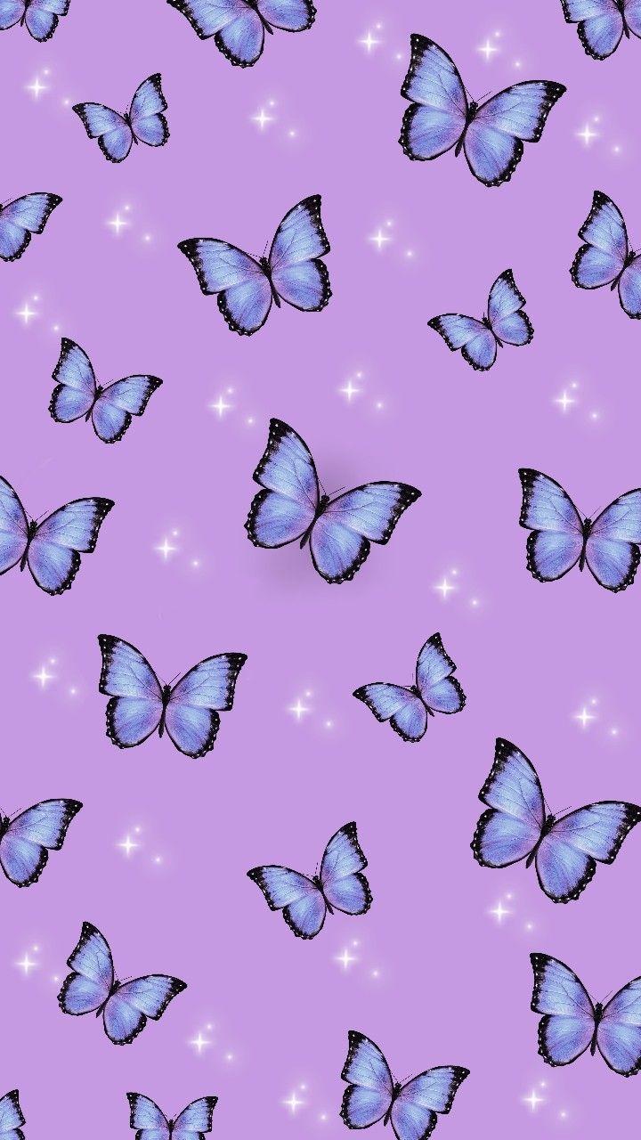 Purple Aesthetic Butterflies Wallpaper Download  MobCup