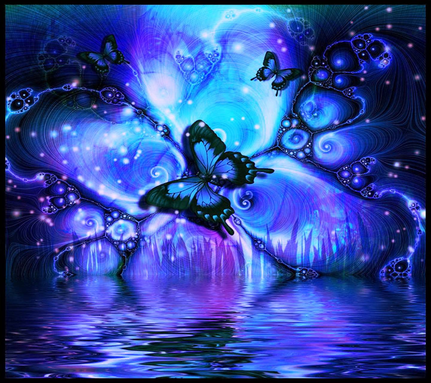 1440x1280 Butterfly wallpaper