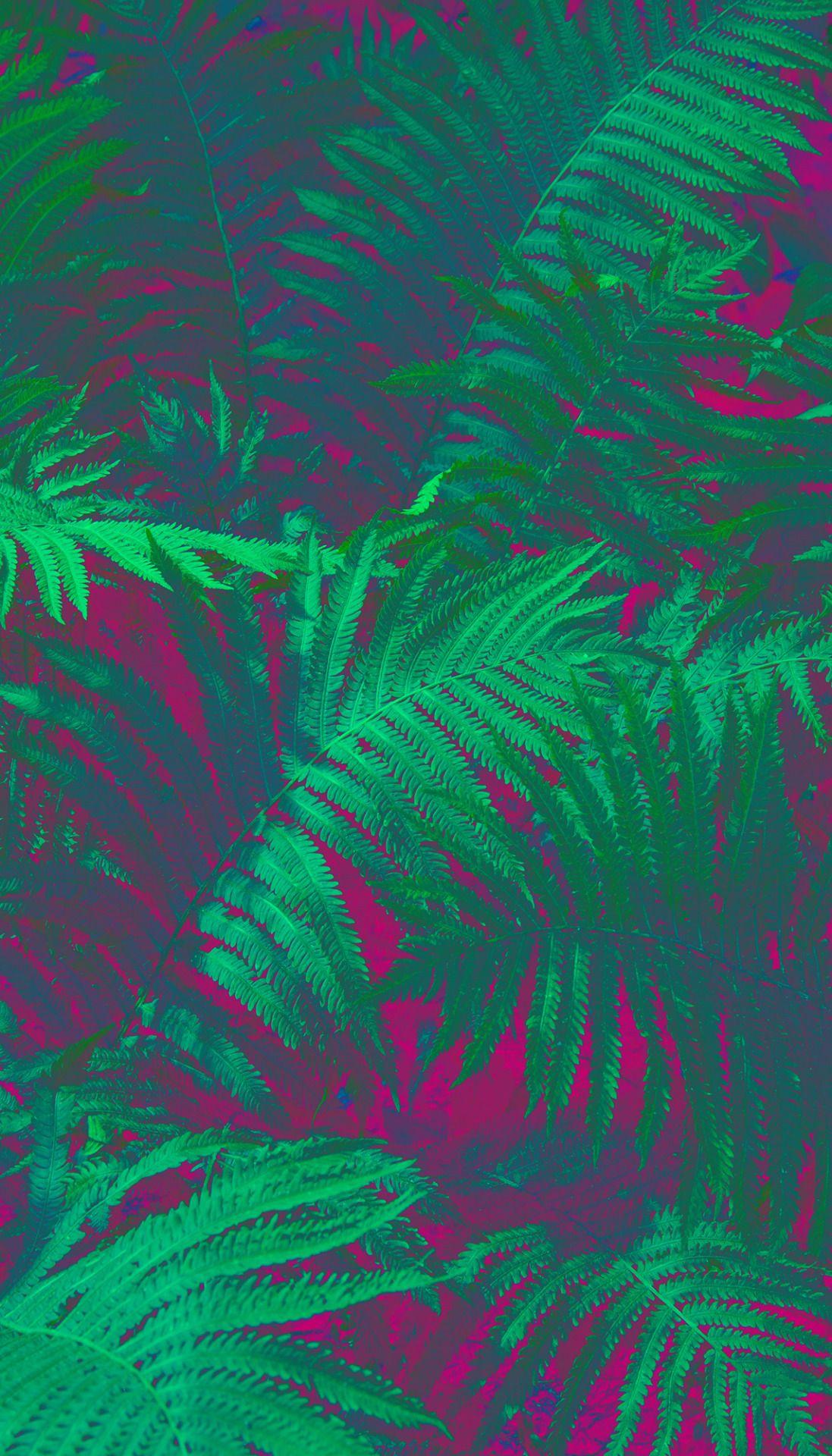 1097x1920 Benevy Glass