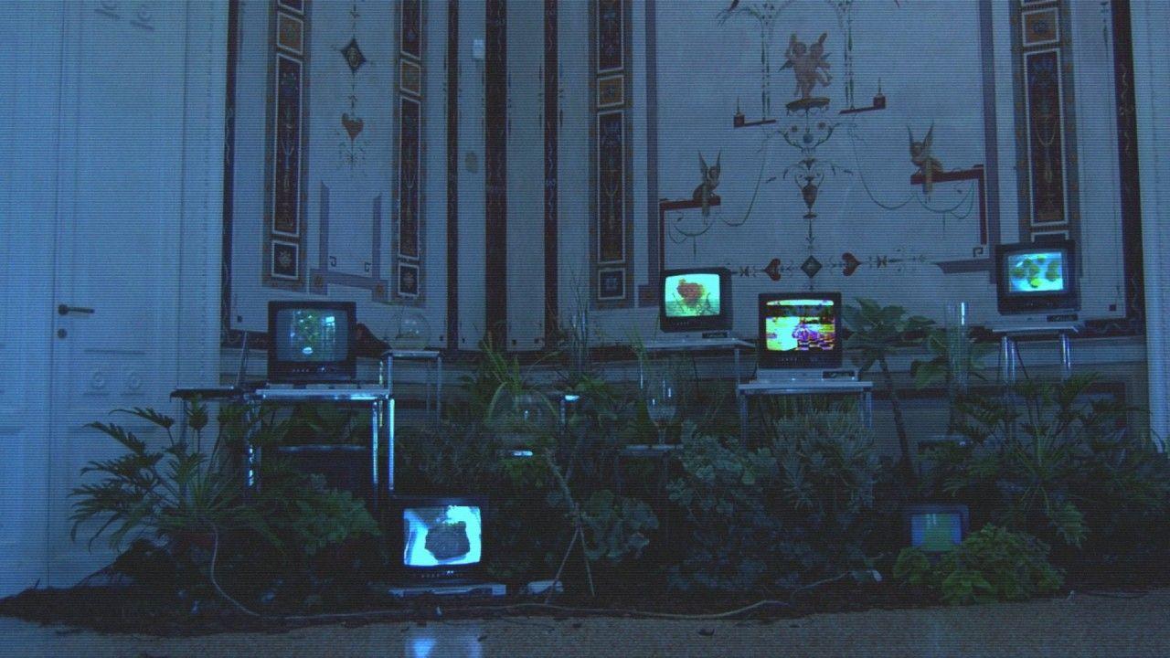 1280x720 TV On Green Leafed Plant HD Vaporwave Wallpaper