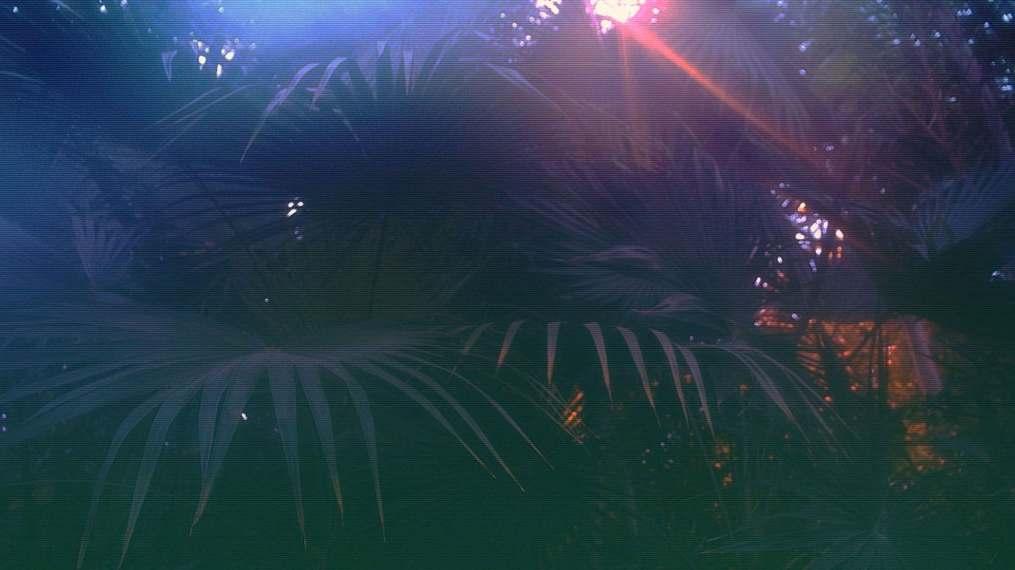 2048x1152 Green palm plant wallpaper, vaporwave, glitch art, growth, tree, beauty in nature • Wallpaper For You HD Wallpaper For Desktop & Mobile