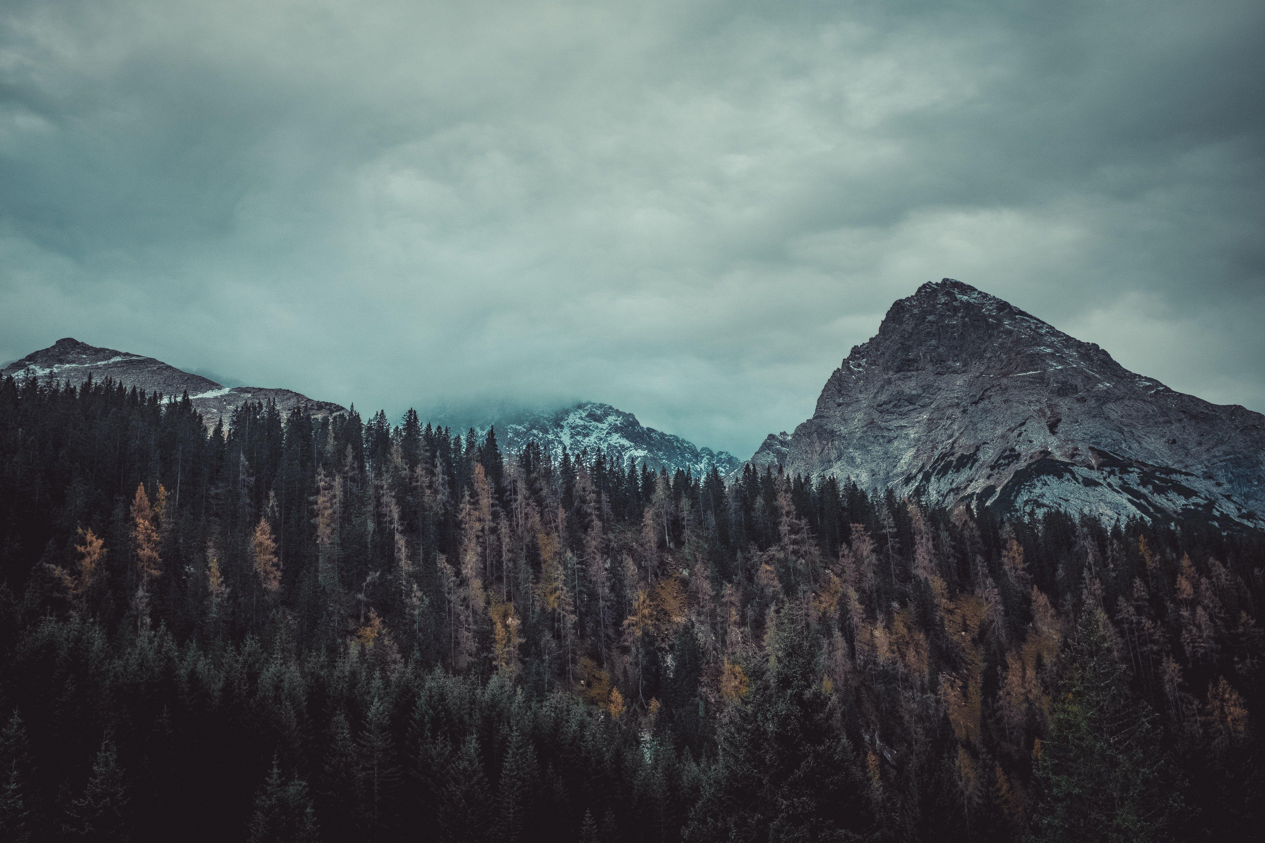 4896x3264 4922x3281 #hike, #forest, #nature, #gray, #moody, #blackandwhite, # mountain, #mist, #foggy, #pinetree, #monochrome, #black and white, #gloomy, #treetop, #tree, #cloudy, #Free , #cloud, #pine, #grey, #fog. Mocah HD Wallpaper