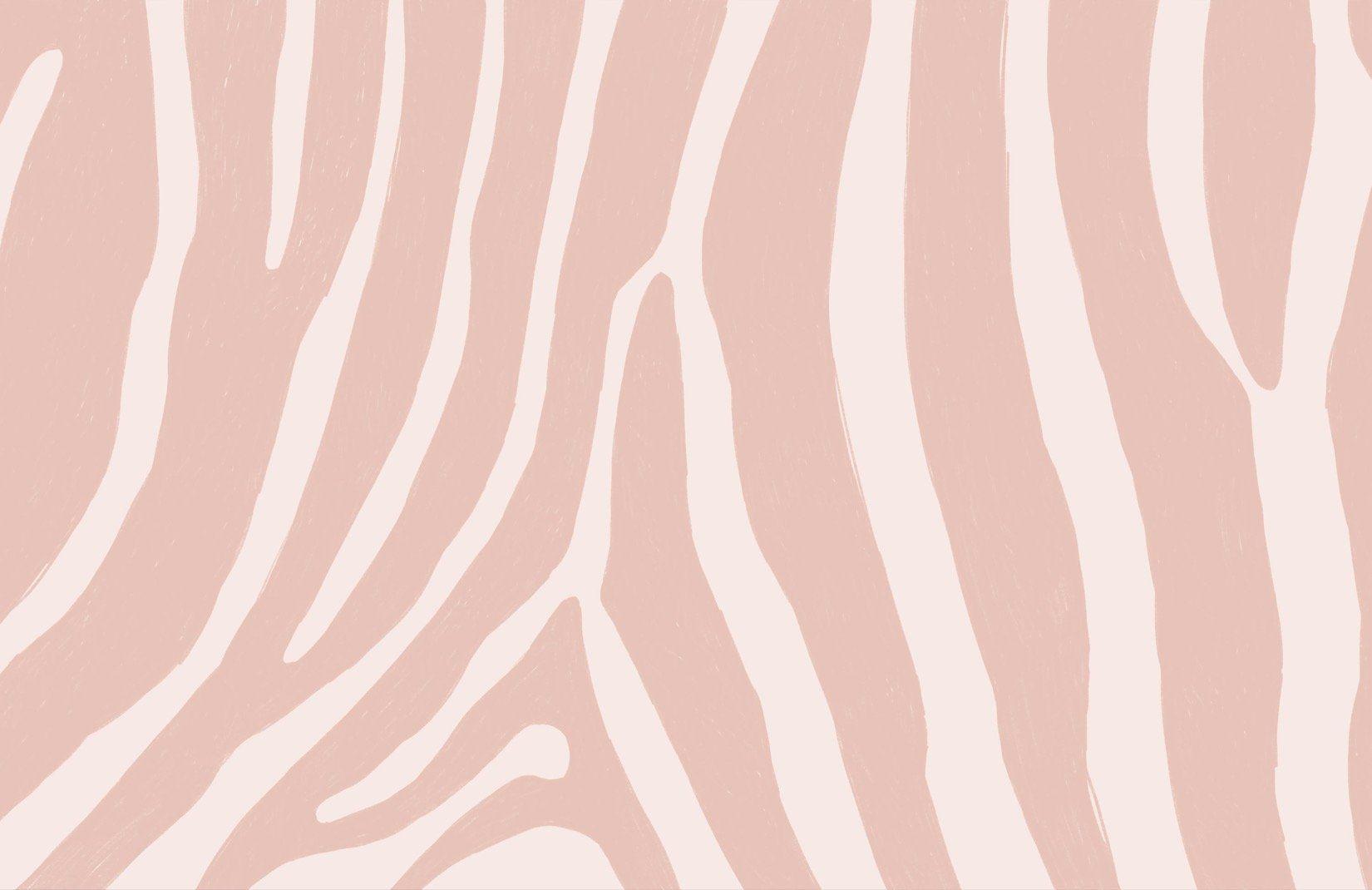 Pink Zebra Wallpapers - Top Free Pink Zebra Backgrounds - WallpaperAccess
