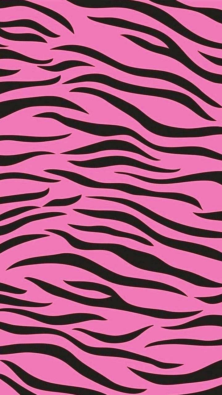 720x1280 Pink zebra wallpaper