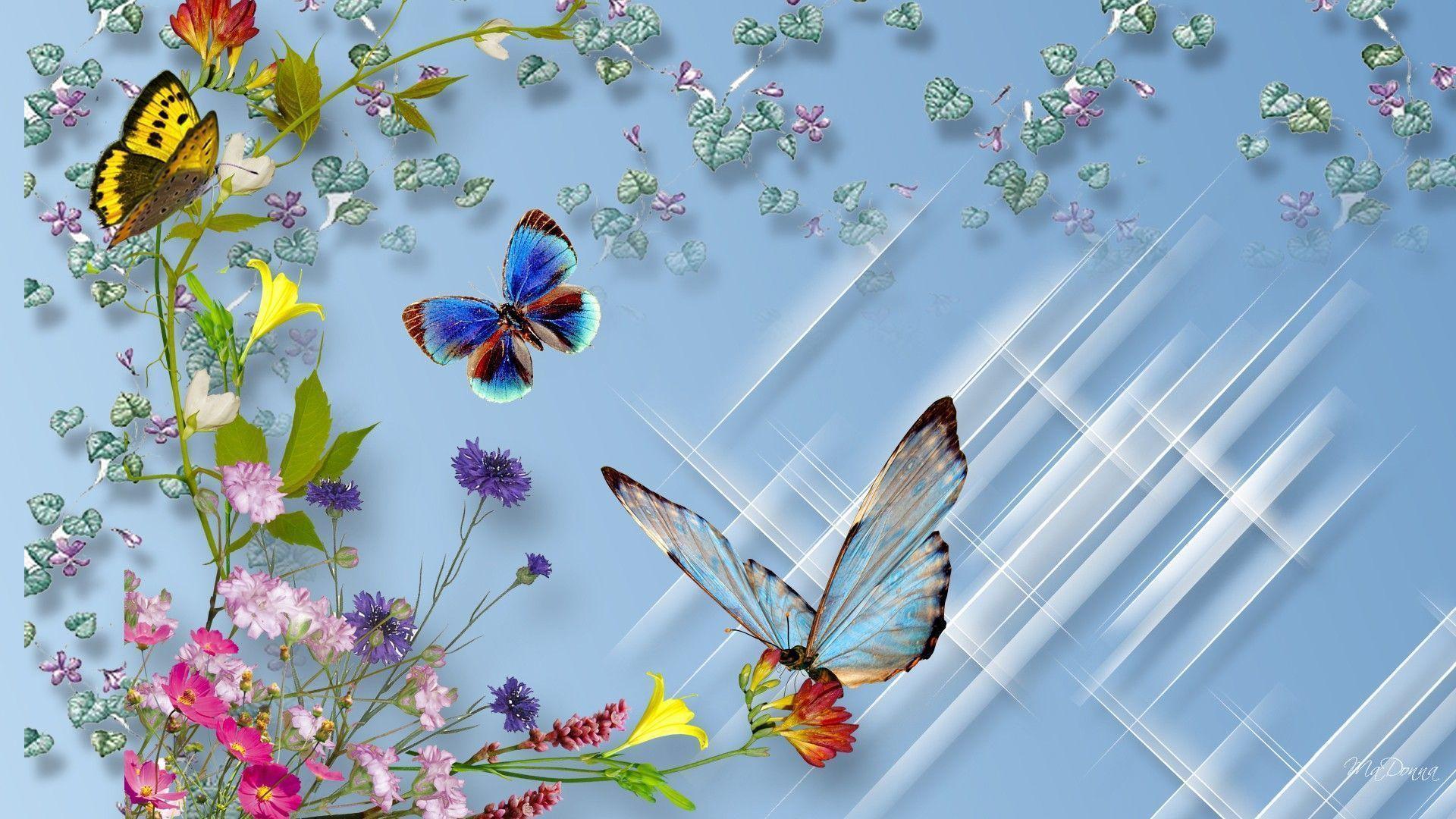 Blue Flower And Butterfly Wallpapers Top Free Blue Flower And