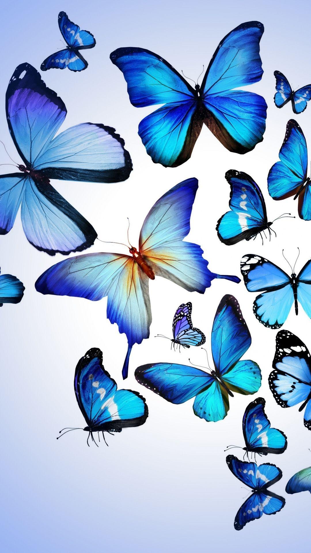 1080x1920 Blue Butterfly Wallpaper iPhone