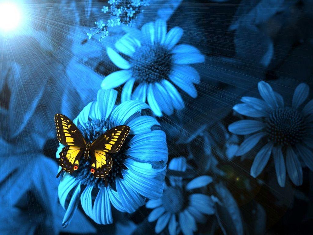 1024x768 Blue Flowers 14106 1024x768px