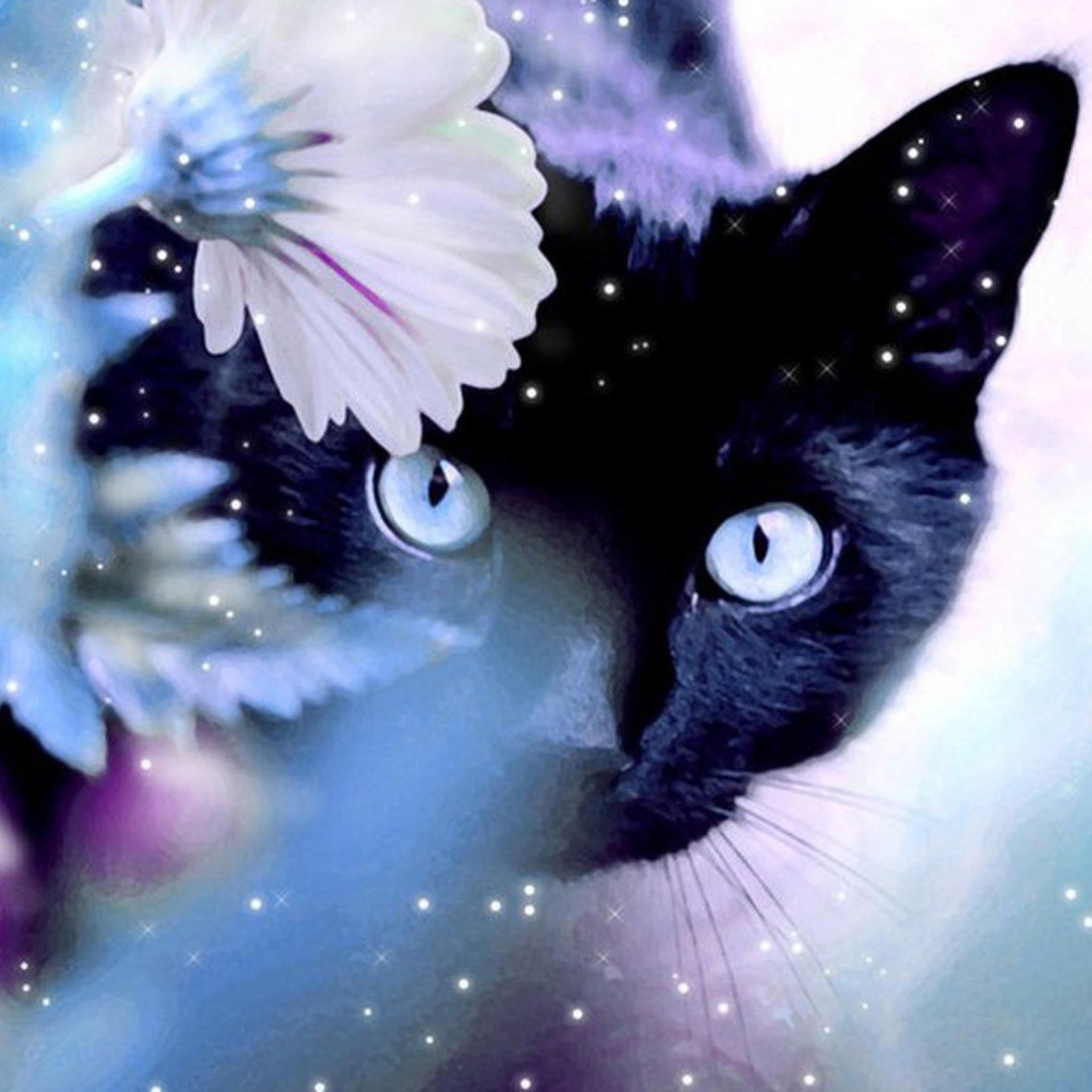 Cat and Flower Wallpapers - Top Free Cat and Flower Backgrounds