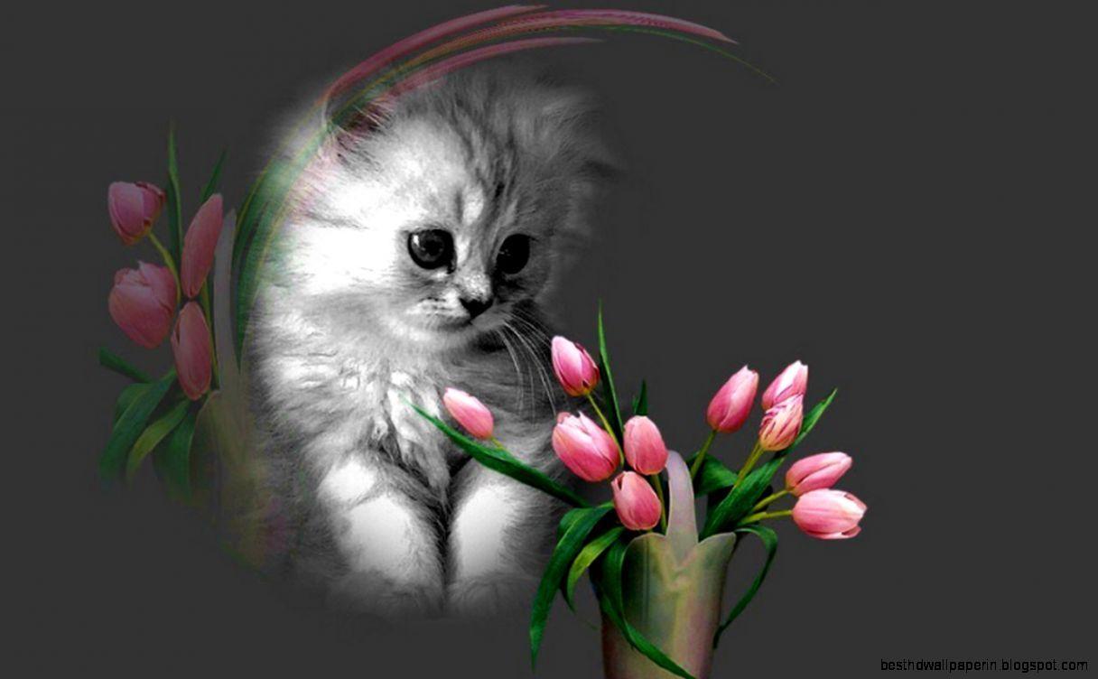 1216x752 Beautiful Flower Wallpaper Free Download For Mobile. Best HD. Kitten wallpaper, Kittens cutest, Animal wallpaper
