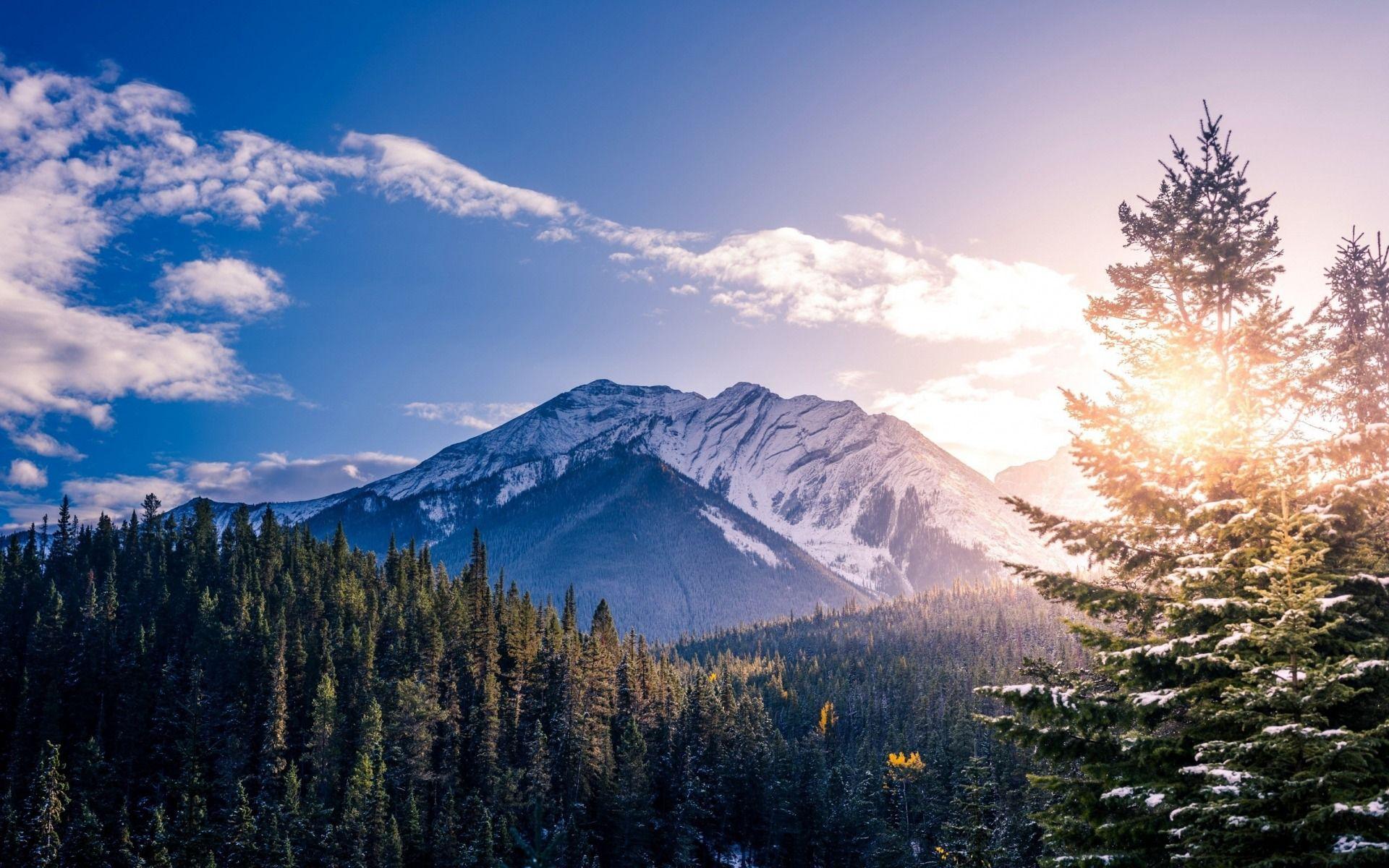 1920x1200 Download wallpaper mountain landscape, spring, morning, sunrise, forest, USA, beautiful landscape for desktop with resolution 1920x1200. High Quality HD picture wallpaper