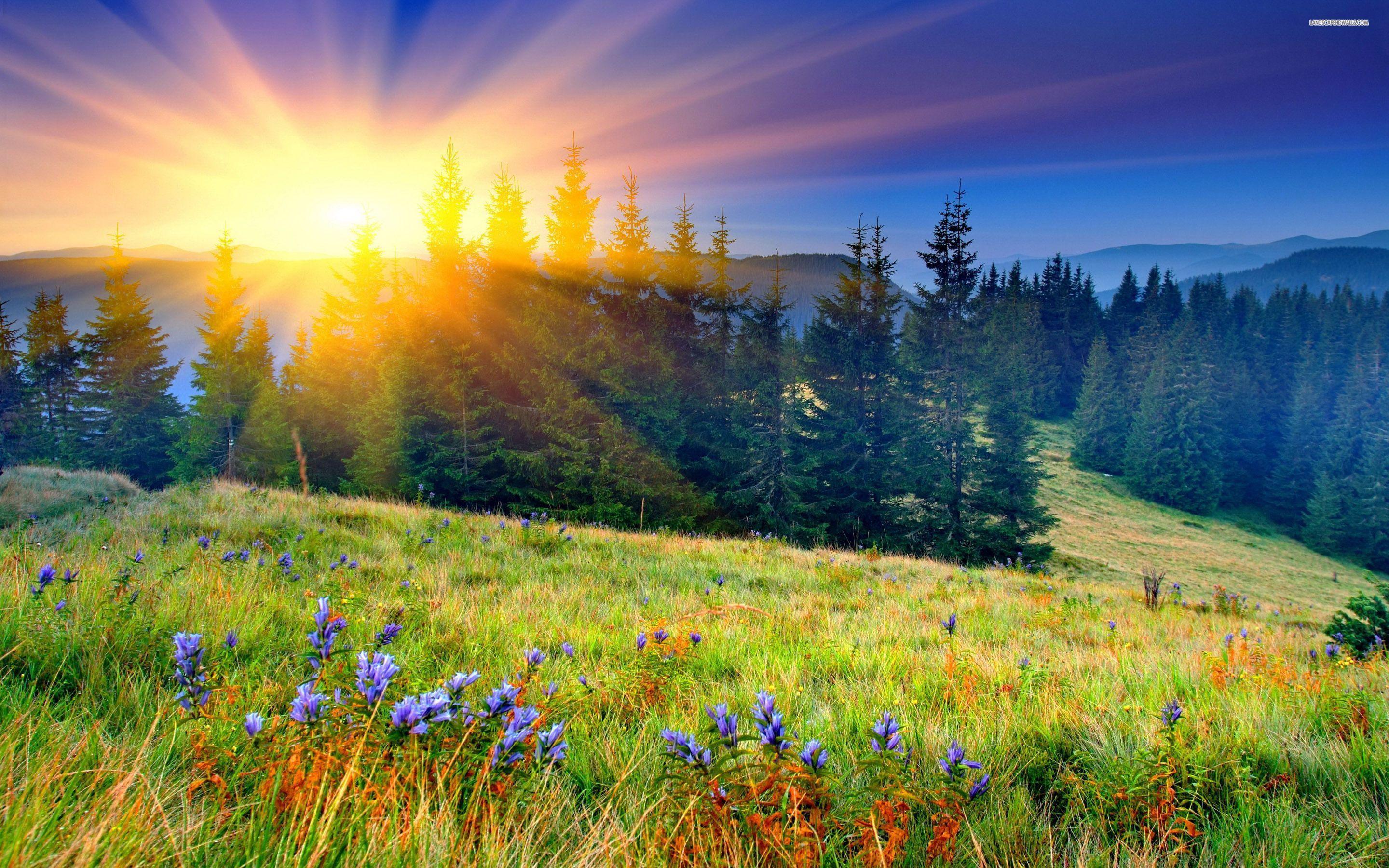 Beautiful Spring Morning Wallpapers - Top Free Beautiful Spring Morning
