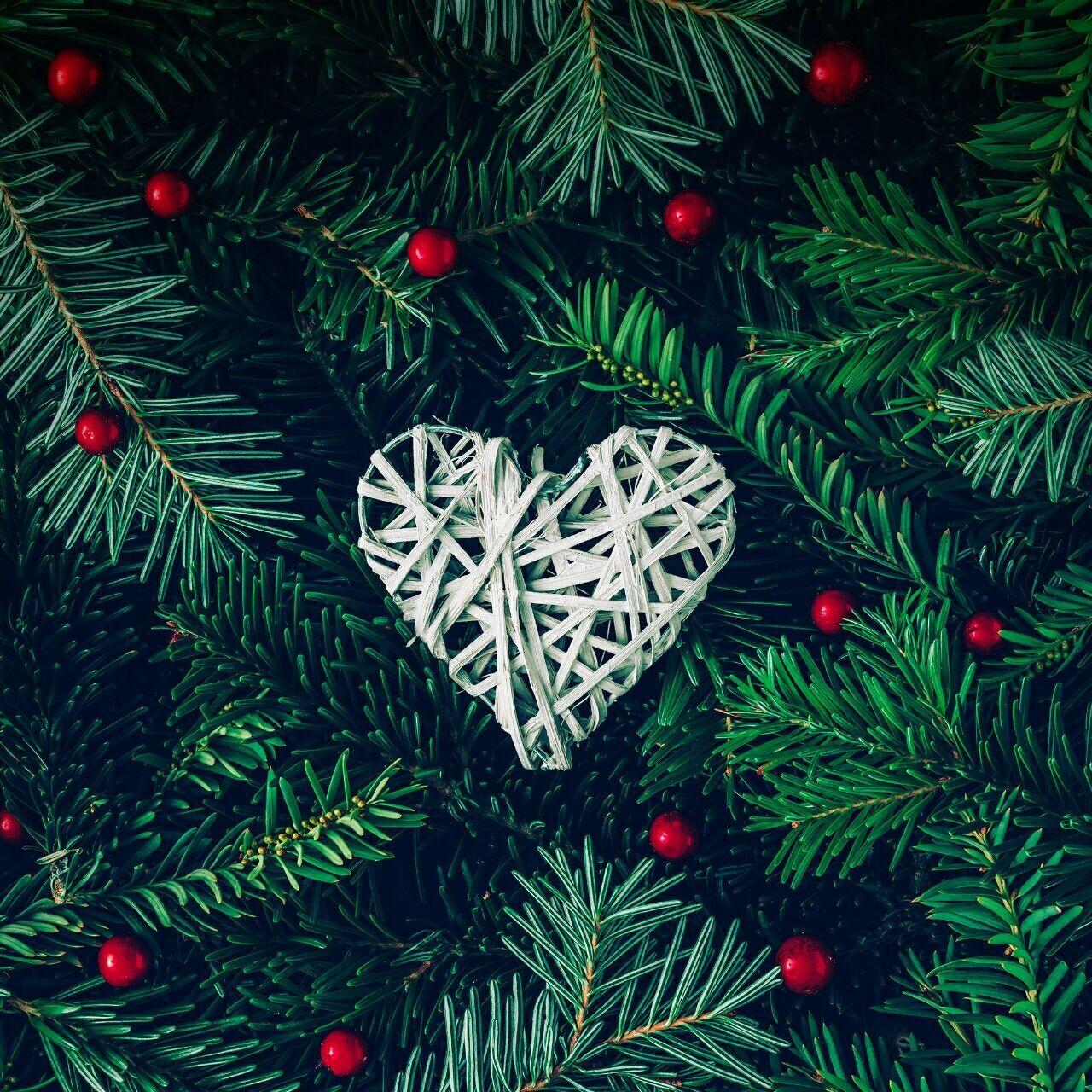 1280x1280 Christmas Wallpaper Tree Branches