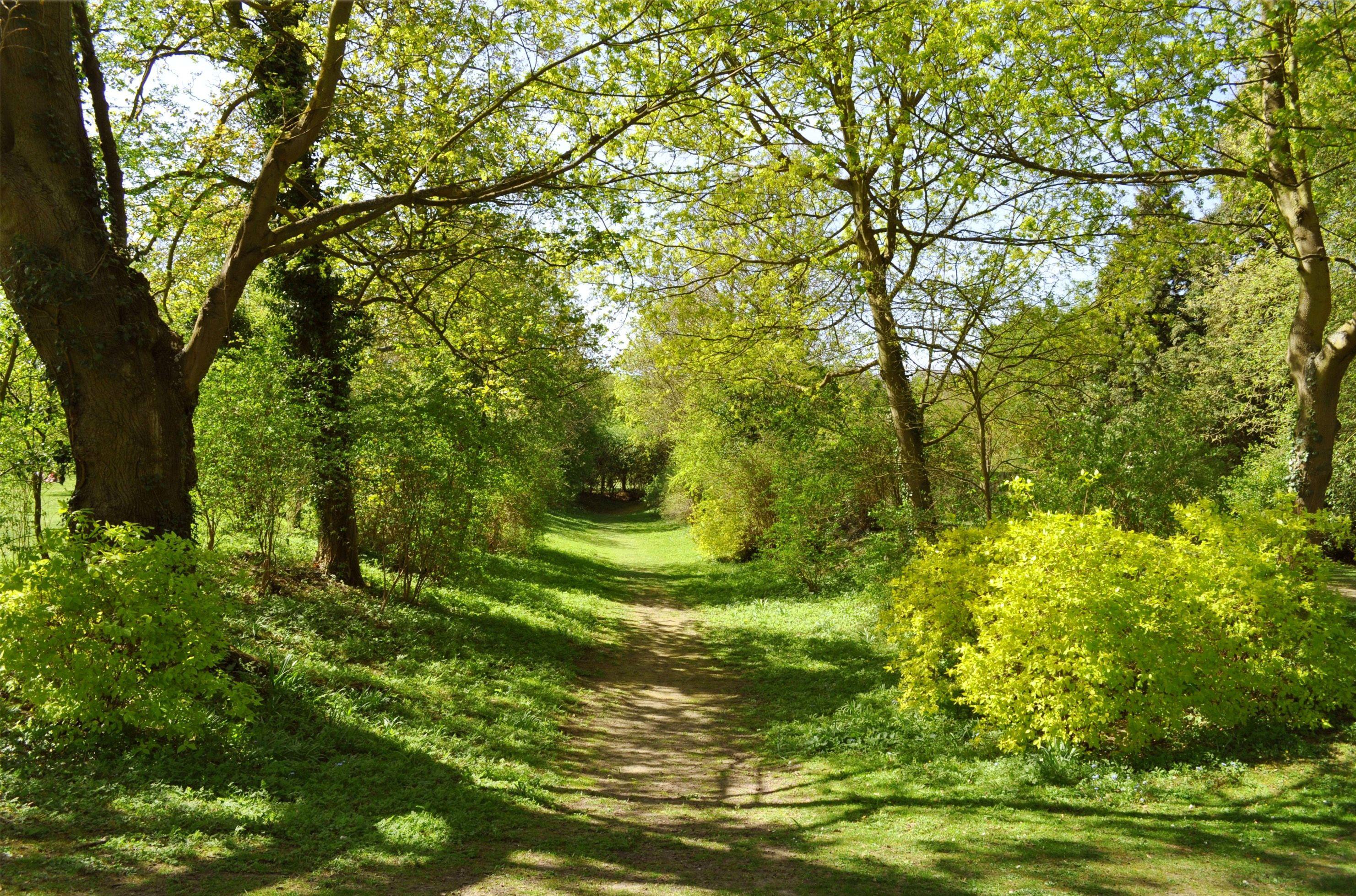 2962x1959 Desktop Image of Morning In Spring. Morning In Spring Wallpaper