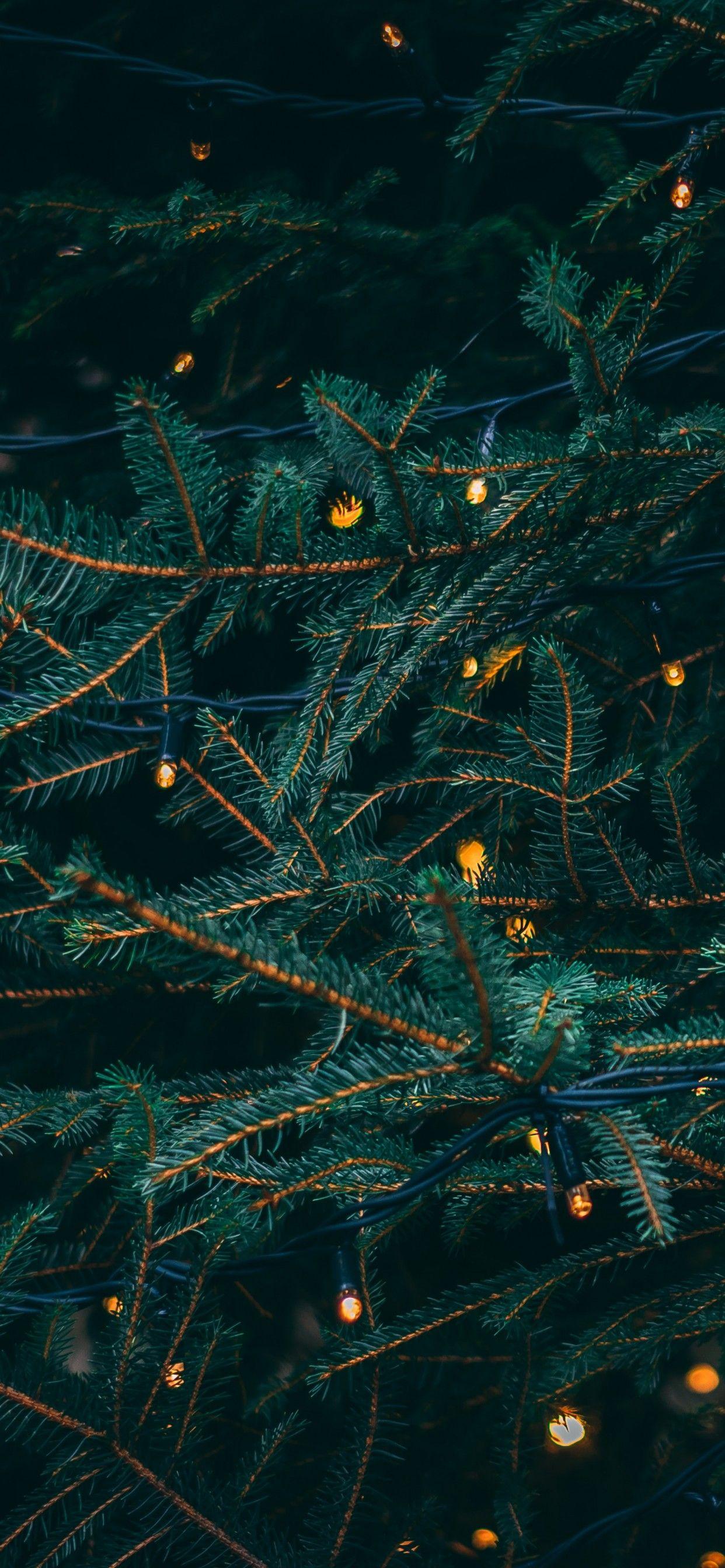 1242x2688 Pine Trees 4K Wallpaper, Decoration, LED Lights, Christmas Decoration, 5K, Celebrations Christmas