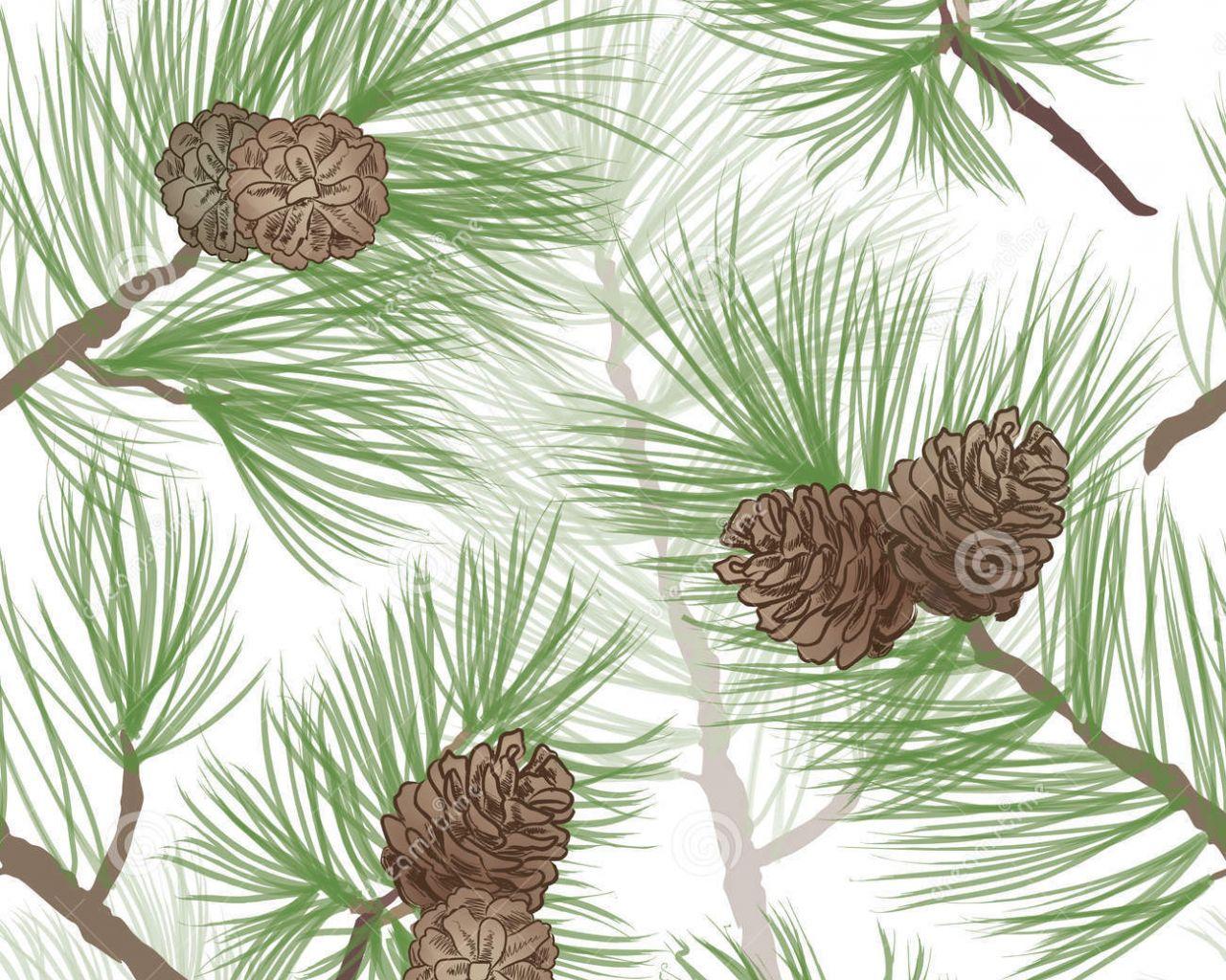 1280x1024 Free download pinecone branch seamless background pine tree forest pattern pine cone [1300x1390] for your Desktop, Mobile & Tablet. Explore Pine Tree Wallpaper Patterns. Wallpaper with Trees Designs, Tree