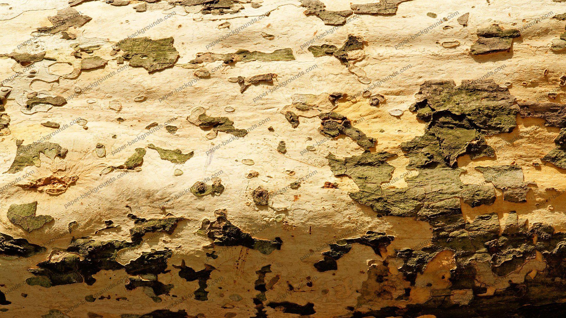 1920x1080 Paper Background. pine. Royalty Free HD Paper Background