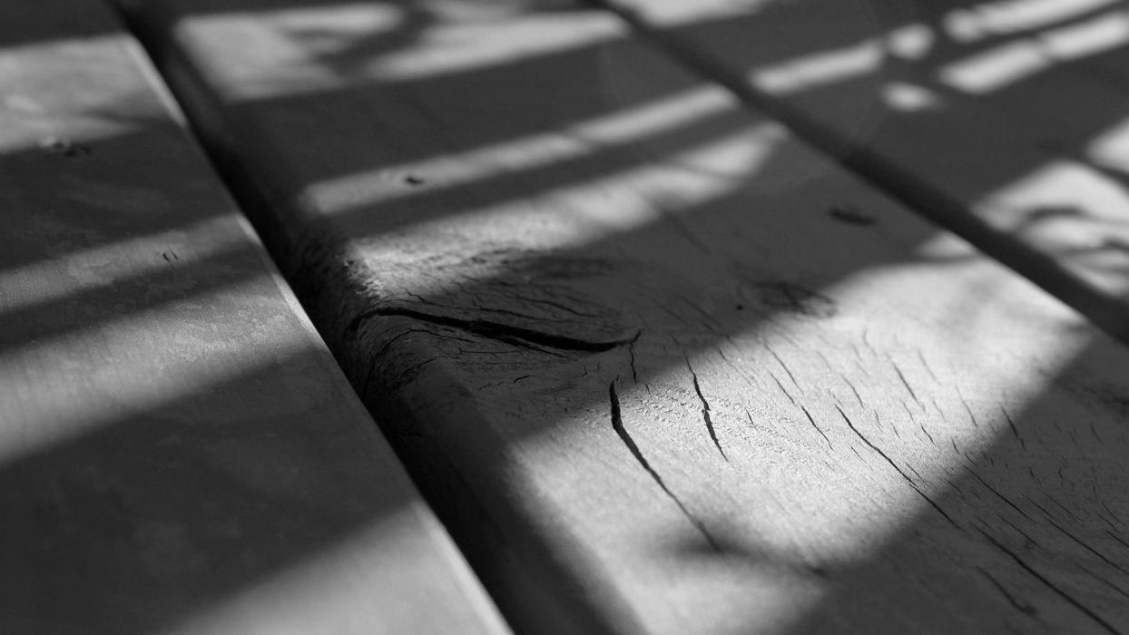 1244x700 Black and white wood pine trees wallpaperx1080