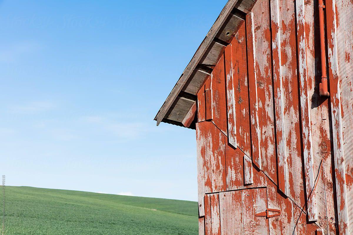 1200x800 Detail Of Abandoned Red Barn, Spring Wheat Field In Distance by Rialto Image, Farm