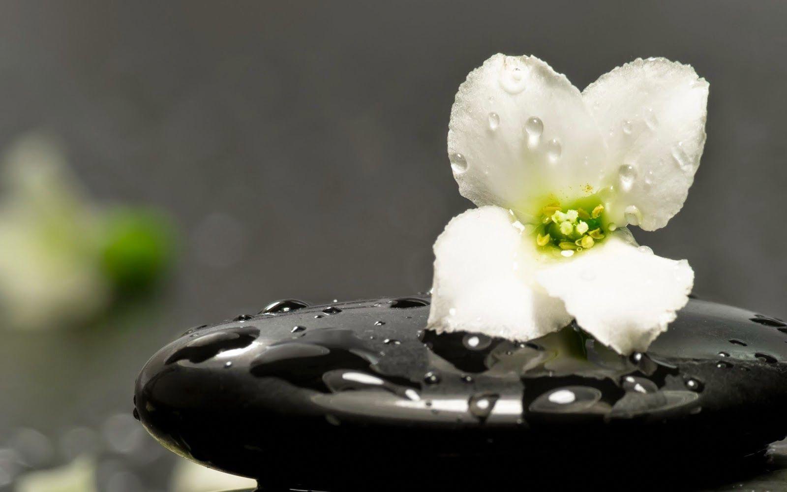 1600x1000 Chinese Zen meditation picture 1080p Full HD widescreen Wallpaper. PIXHOME #meditationbeforesleep. Meditation, Zen meditation, Zen