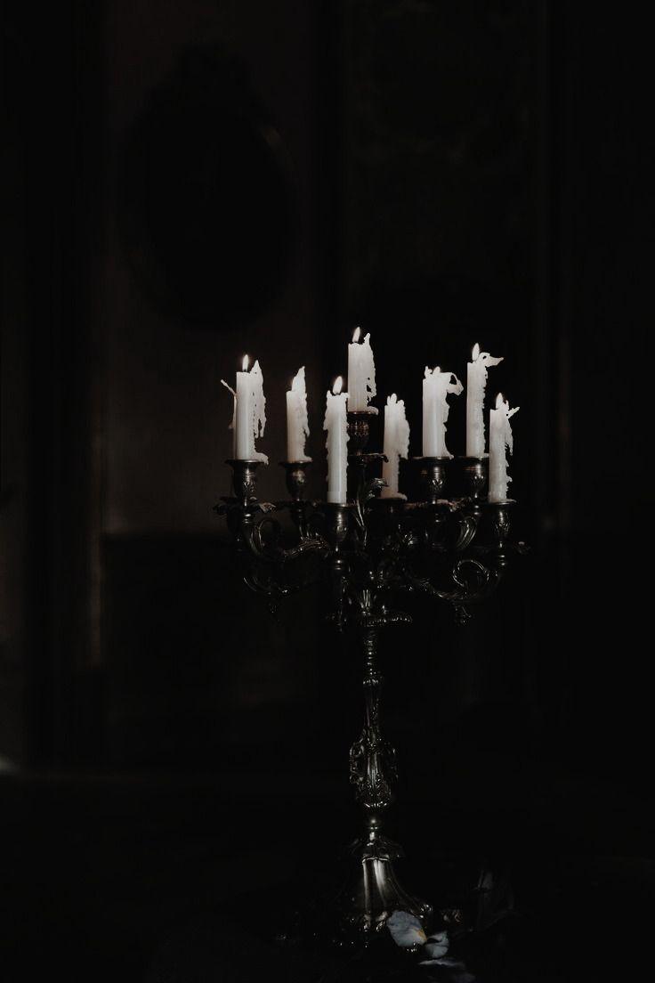 736x1104 dark academia aesthetics. Dark photography, Gothic aesthetic, Dark aesthetic