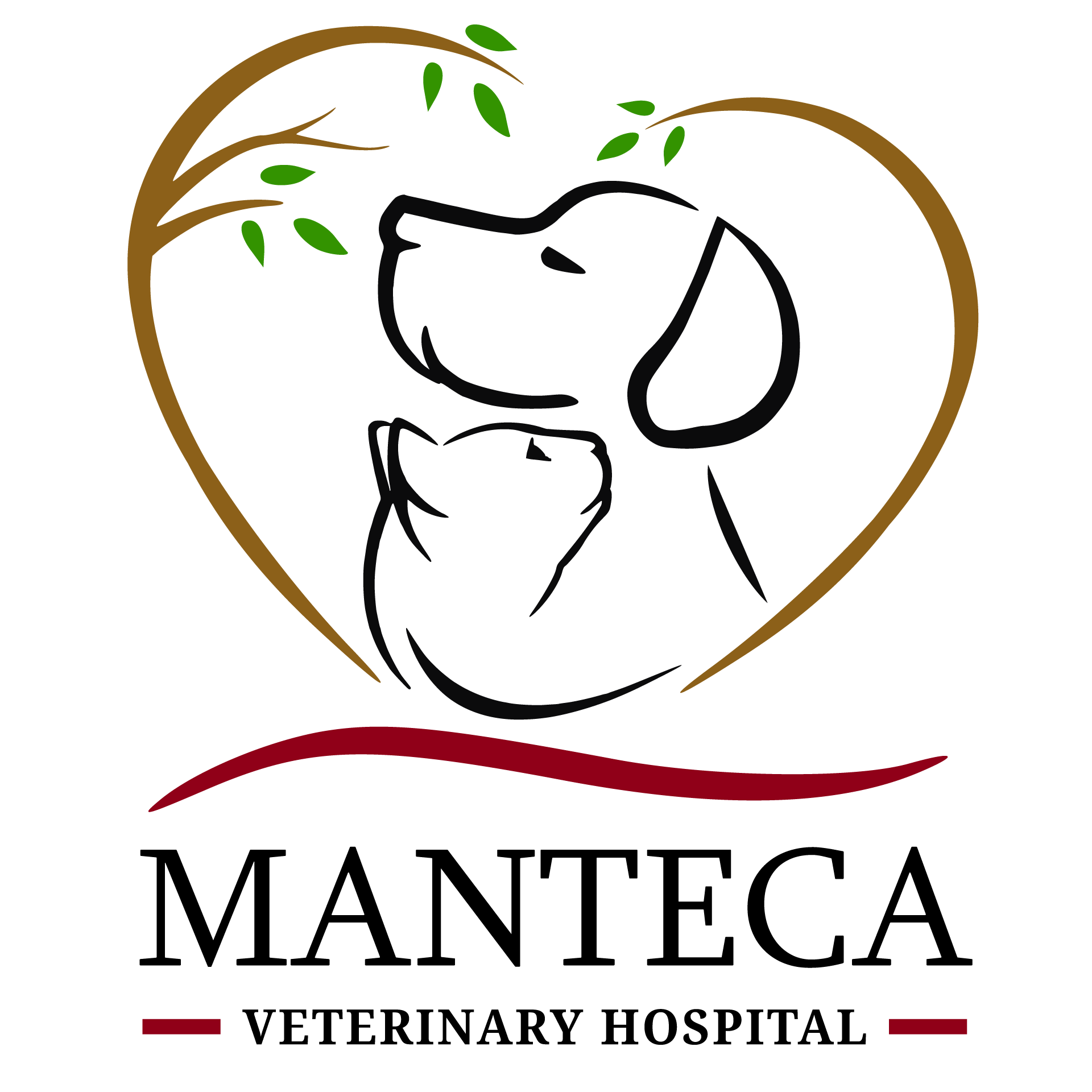 1920x1920 Cardiology Veterinary Hospital