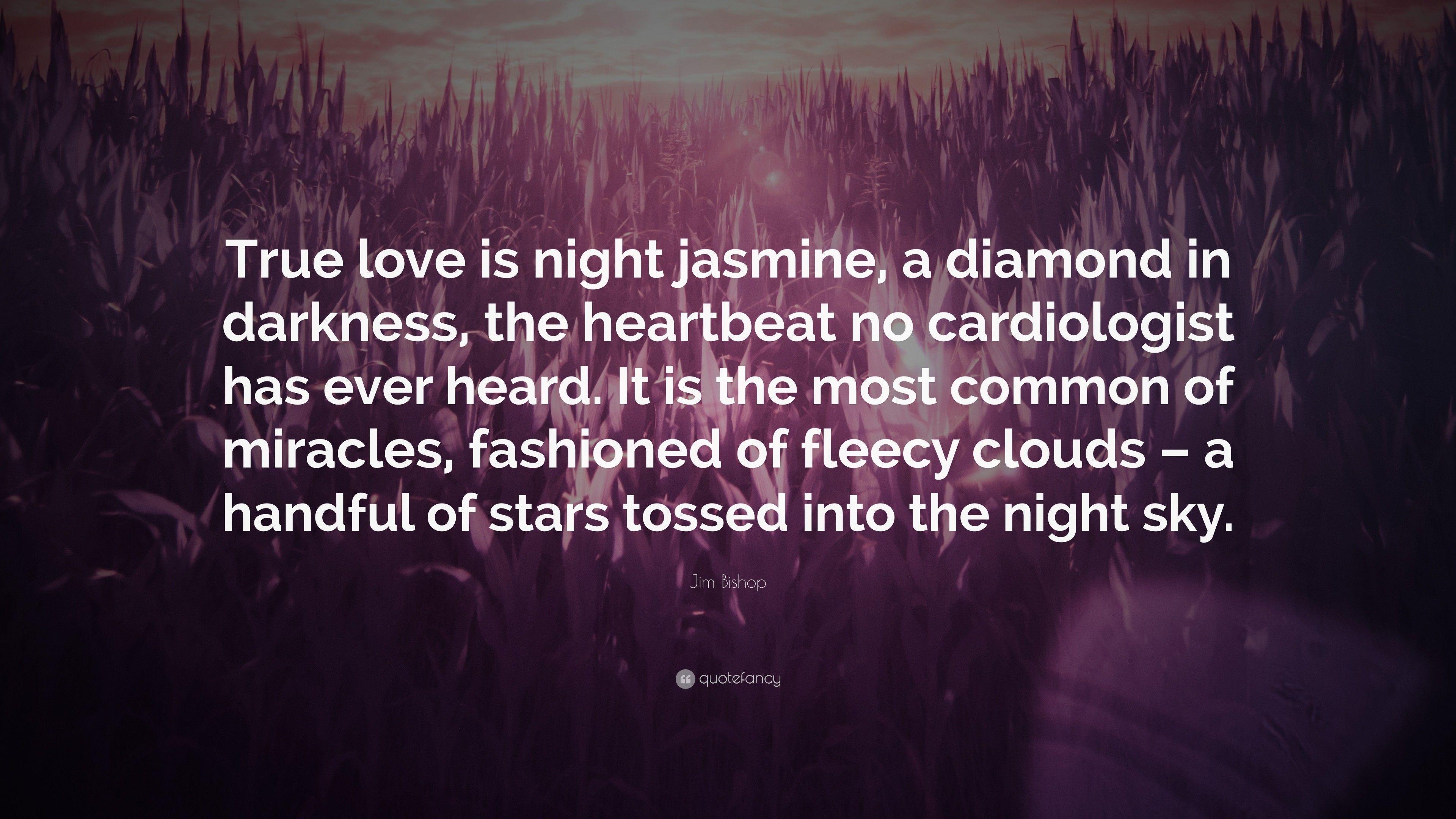 3840x2160 Name Jasmine wallpaper wallpaper Collections