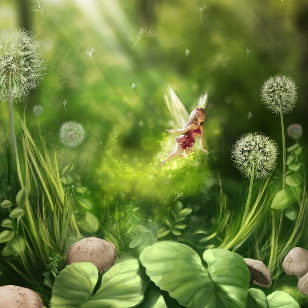 1061x1061 Flower Fairy Wallpaper