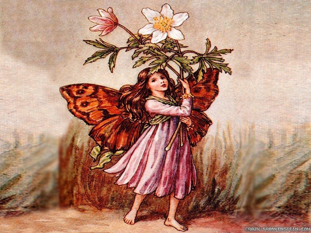 1024x768 Flower Fairies Wallpaper Crazy Frankenstein Desktop Background