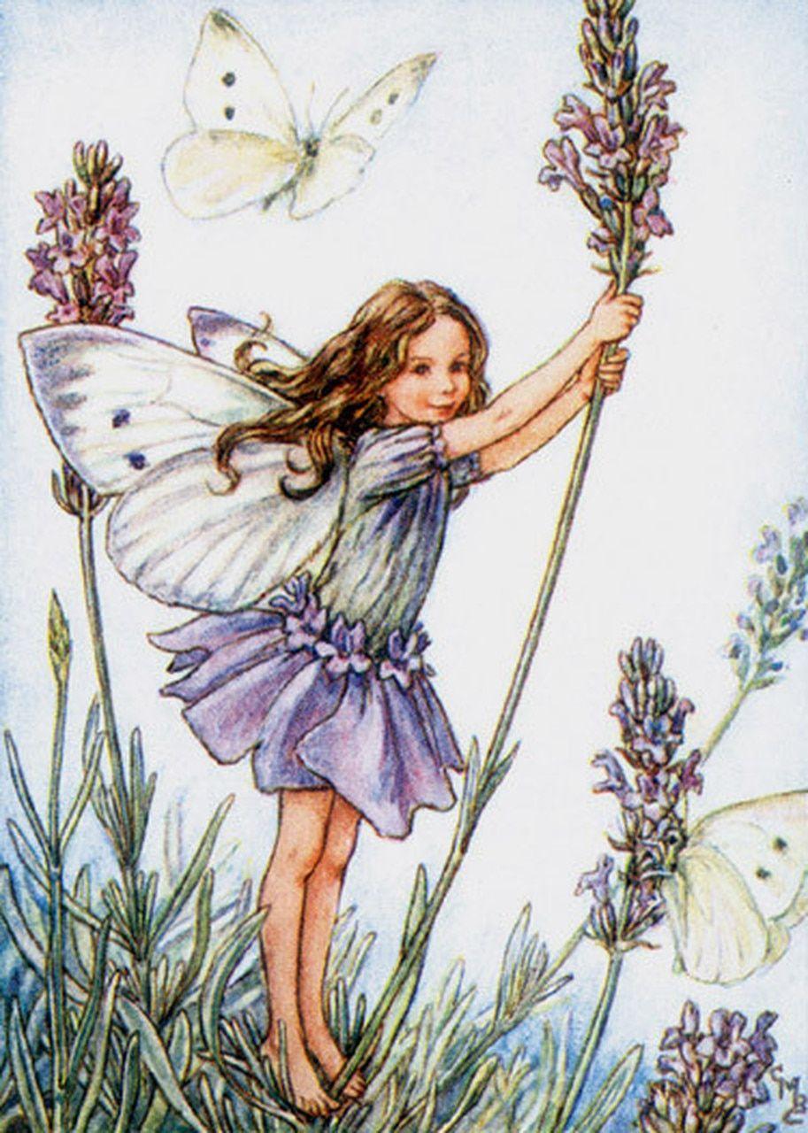 913x1280 The Lavender Flower Fairy Canvas Wall Art