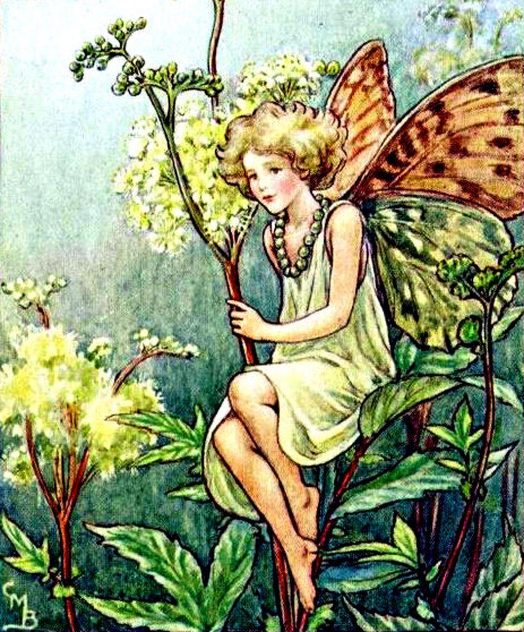 Flower Fairies Wallpapers - Top Free Flower Fairies Backgrounds ...