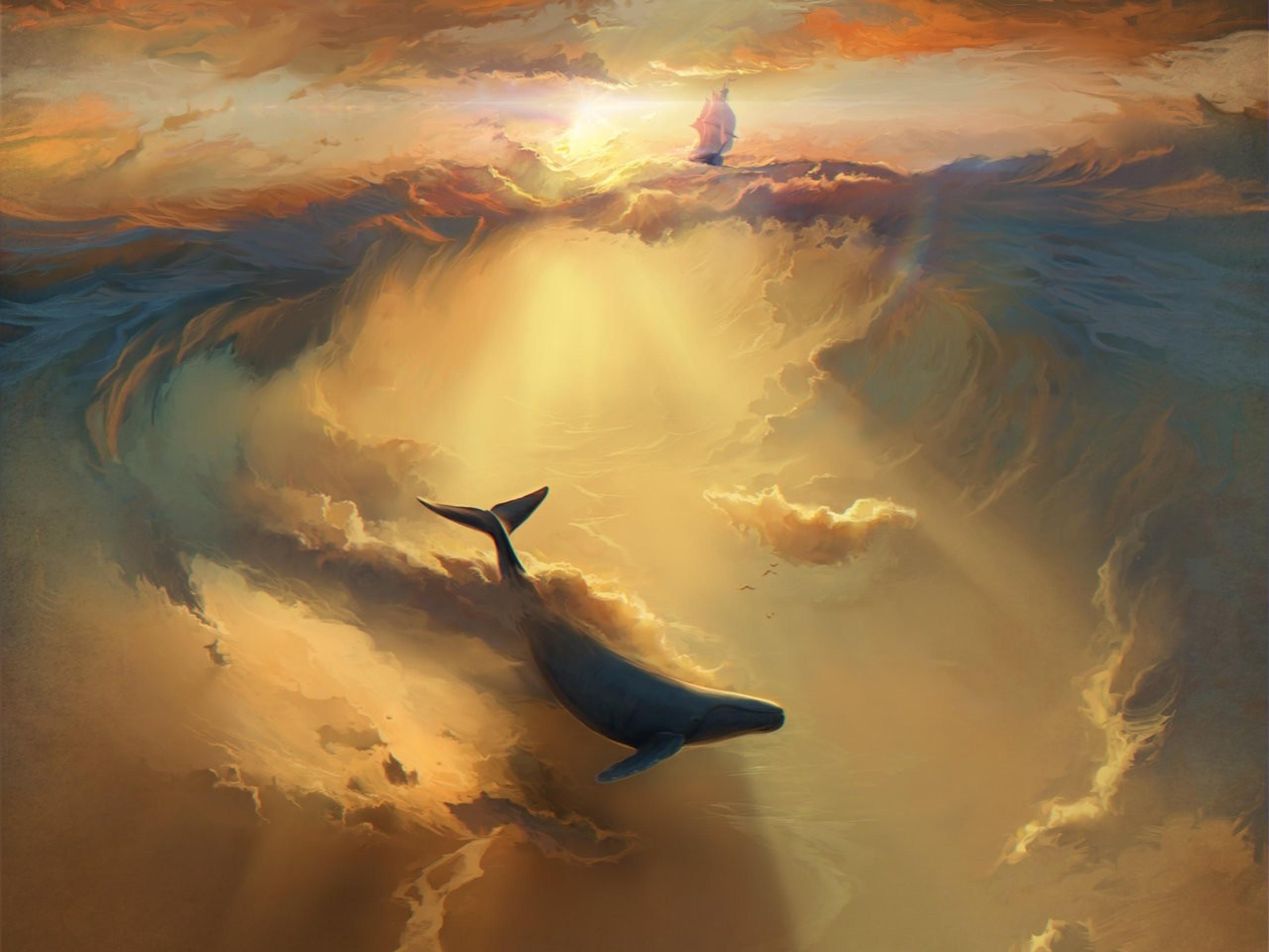 2560x1920 Ocean Ship Whale Sun Light wallpaper. Ocean Ship Whale Sun Light