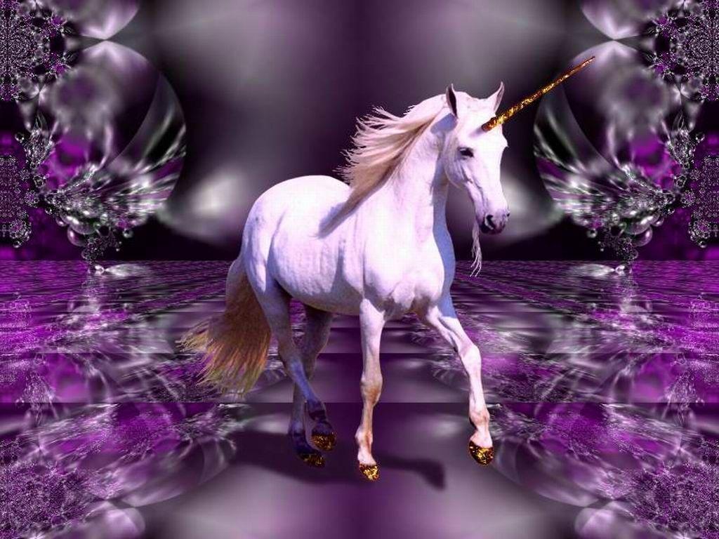 1024x768 Real Unicorn Wallpaper