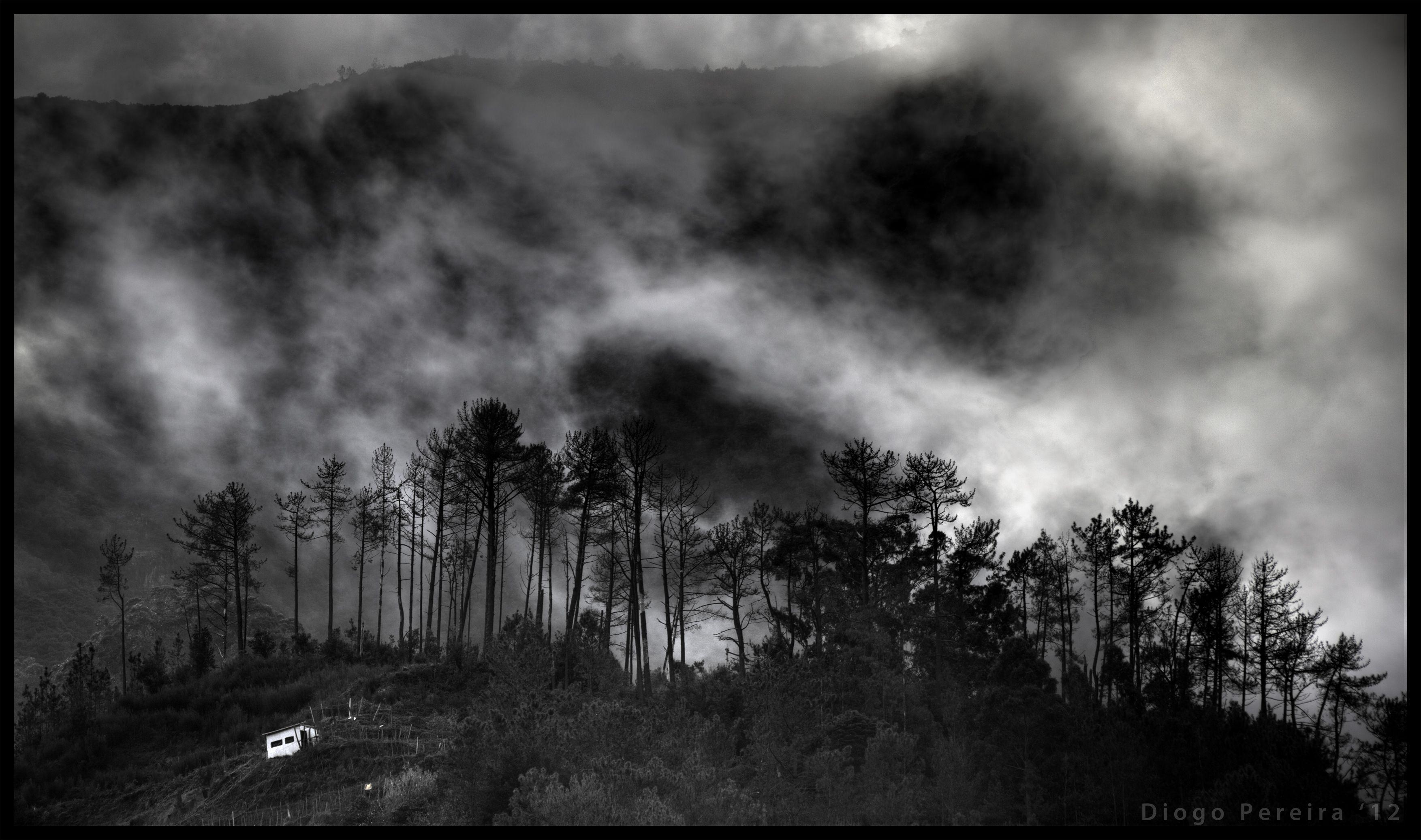 3507x2074 Forest hill clouds sky mood dark wallpaperx2074