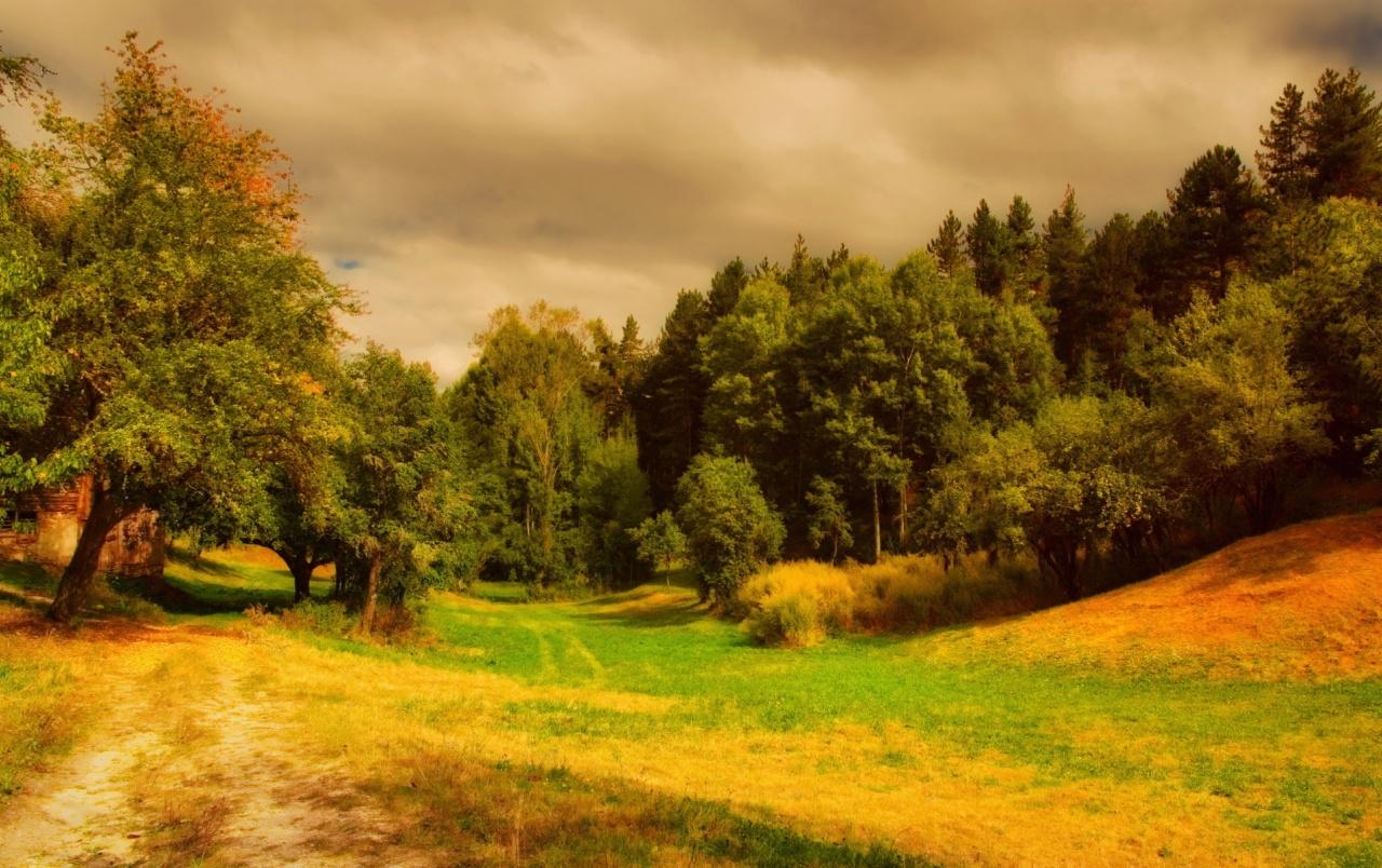 1280x804 Dark Clouds Way Forest Hills wallpaper. Dark Clouds Way Forest Hills