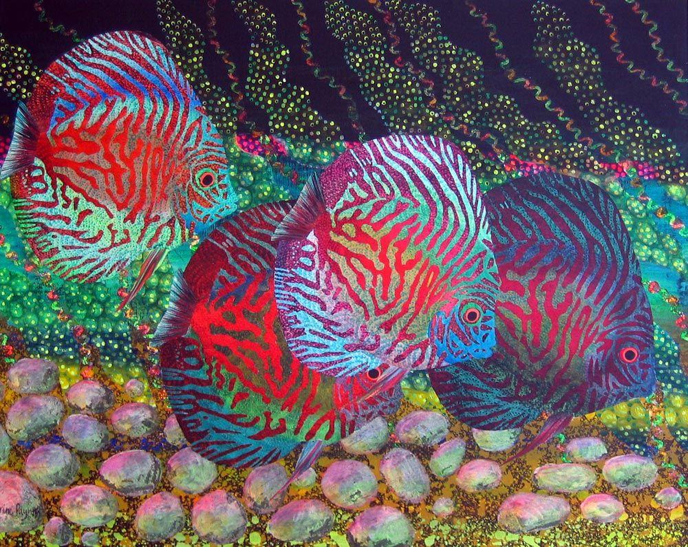 Discus Fish Wallpapers - Top Free Discus Fish Backgrounds - WallpaperAccess