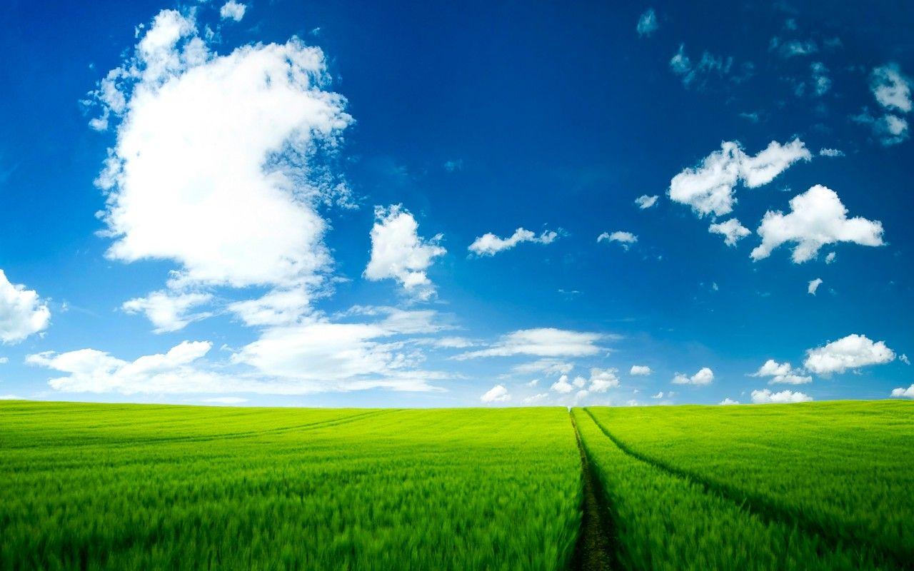 1280x800 Summer Scenery Wallpaper 3D Models. Free