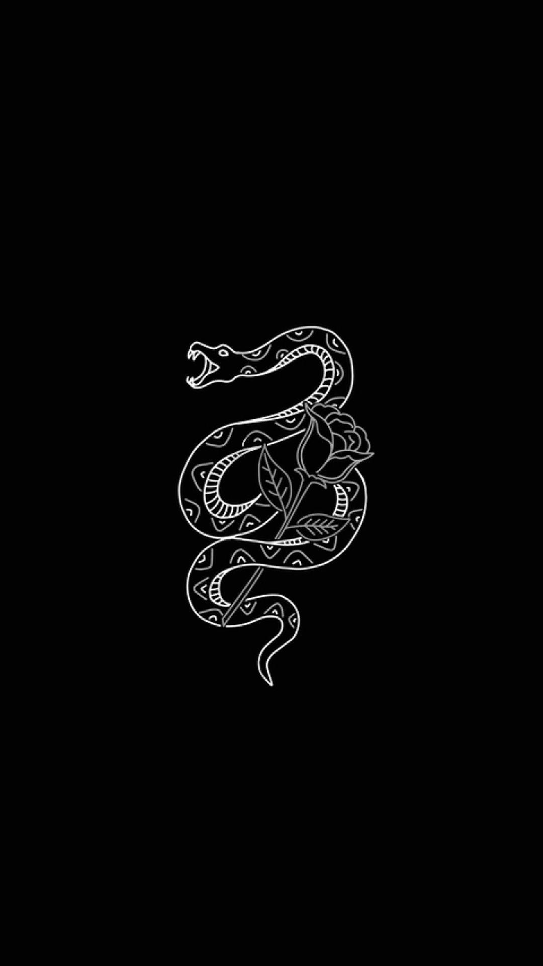 Update 157+ aesthetic snake wallpaper - xkldase.edu.vn