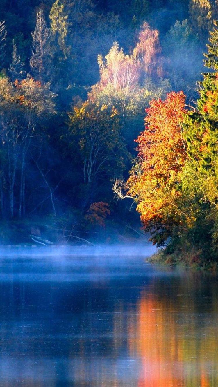 750x1334 Nature iPhone 7 Wallpaper HD