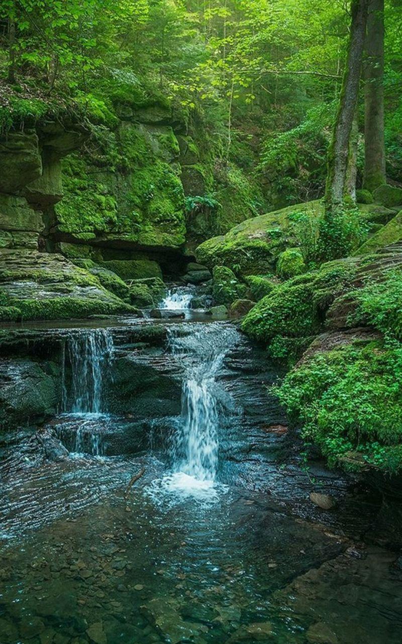 800x1280 Free download EntePic Nature HD IPhone 7 Wallpaper Part 3 nature wallpaper [1080x1920] for your Desktop, Mobile & Tablet. Explore Green iPhone 7 Plus Wallpaper. Green iPhone 7 Plus